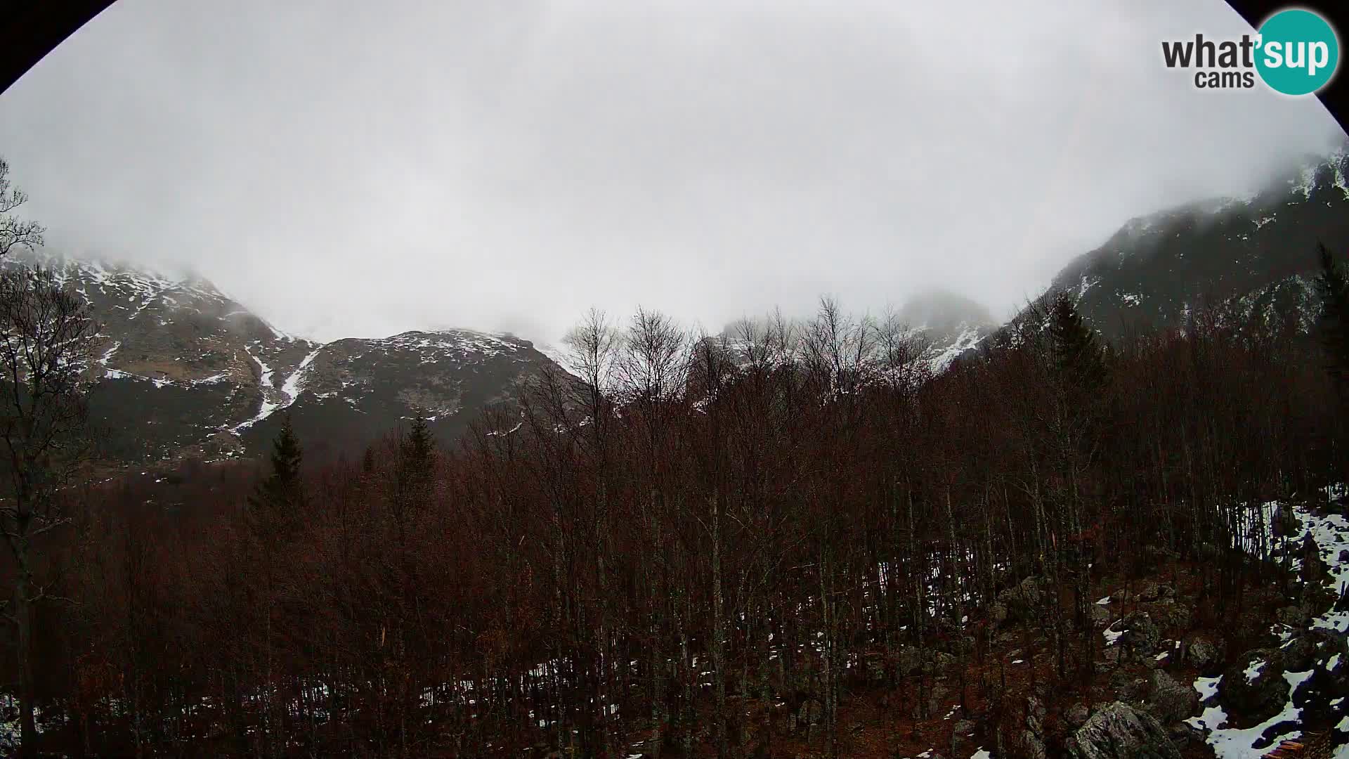 PLANINA RAZOR webcam (1315) | view to Vogel and Globoko