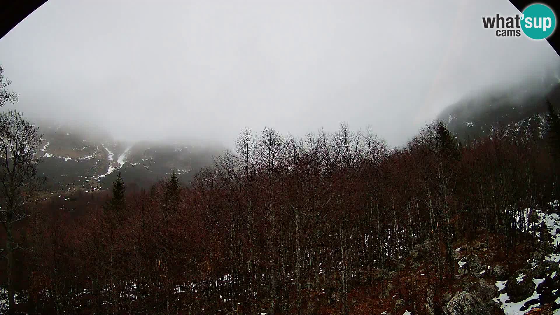 Webcam PLANINA RAZOR (1315) | Blick auf Vogel und Globoko