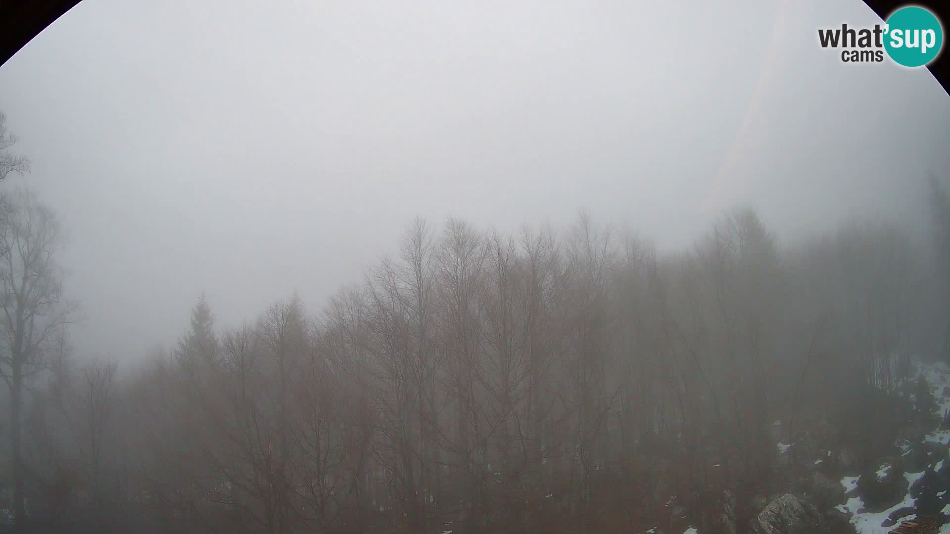 PLANINA RAZOR Live Cam (1315) | vista su Vogel e Globoko