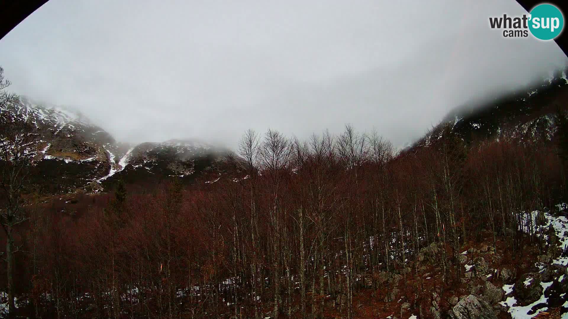 PLANINA RAZOR kamera (1315) | pogled na Vogel in Globoko