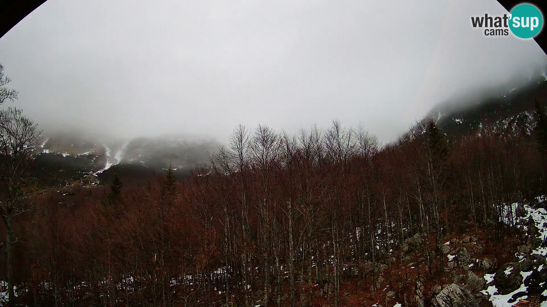 PLANINA RAZOR webcam (1315) | view to Vogel and Globoko