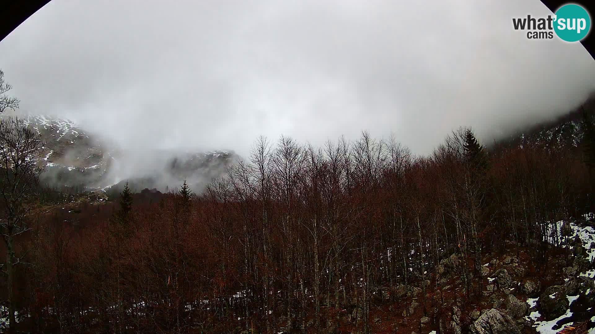 Livecam PLANINA RAZOR (1315) | vue sur Vogel et Globoko