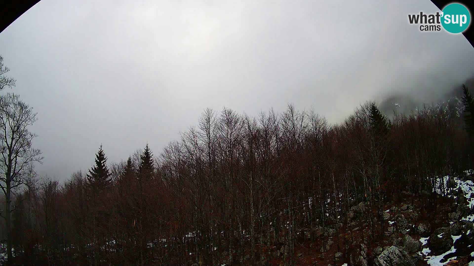 PLANINA RAZOR webcam (1315) | view to Vogel and Globoko