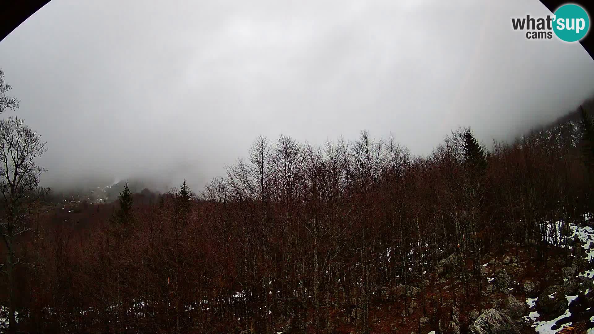 PLANINA RAZOR web kamera (1315) | pogled na Vogel i Globoko