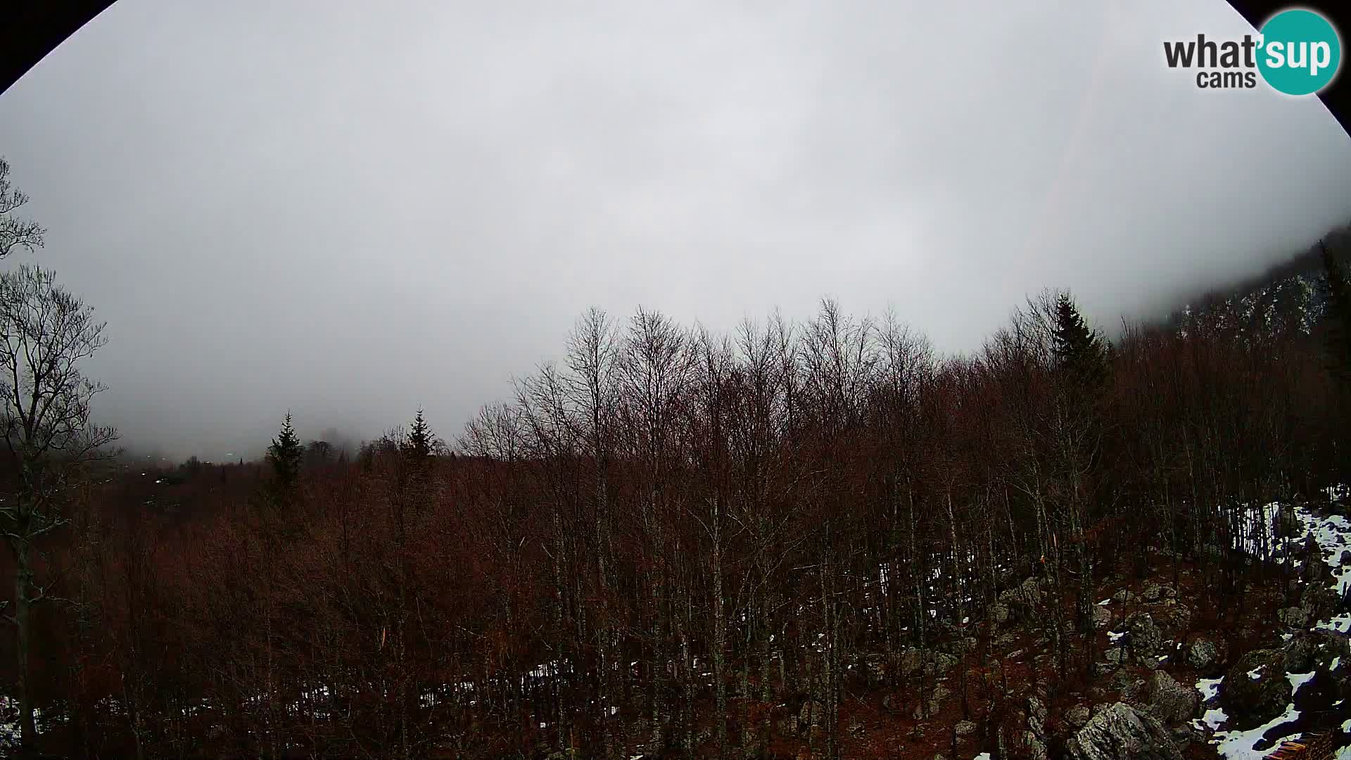 PLANINA RAZOR web kamera (1315) | pogled na Vogel i Globoko