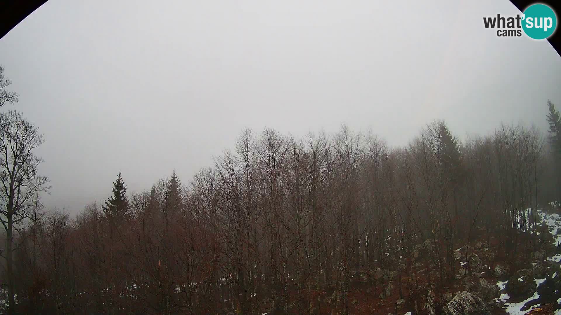 Livecam PLANINA RAZOR (1315) | vue sur Vogel et Globoko