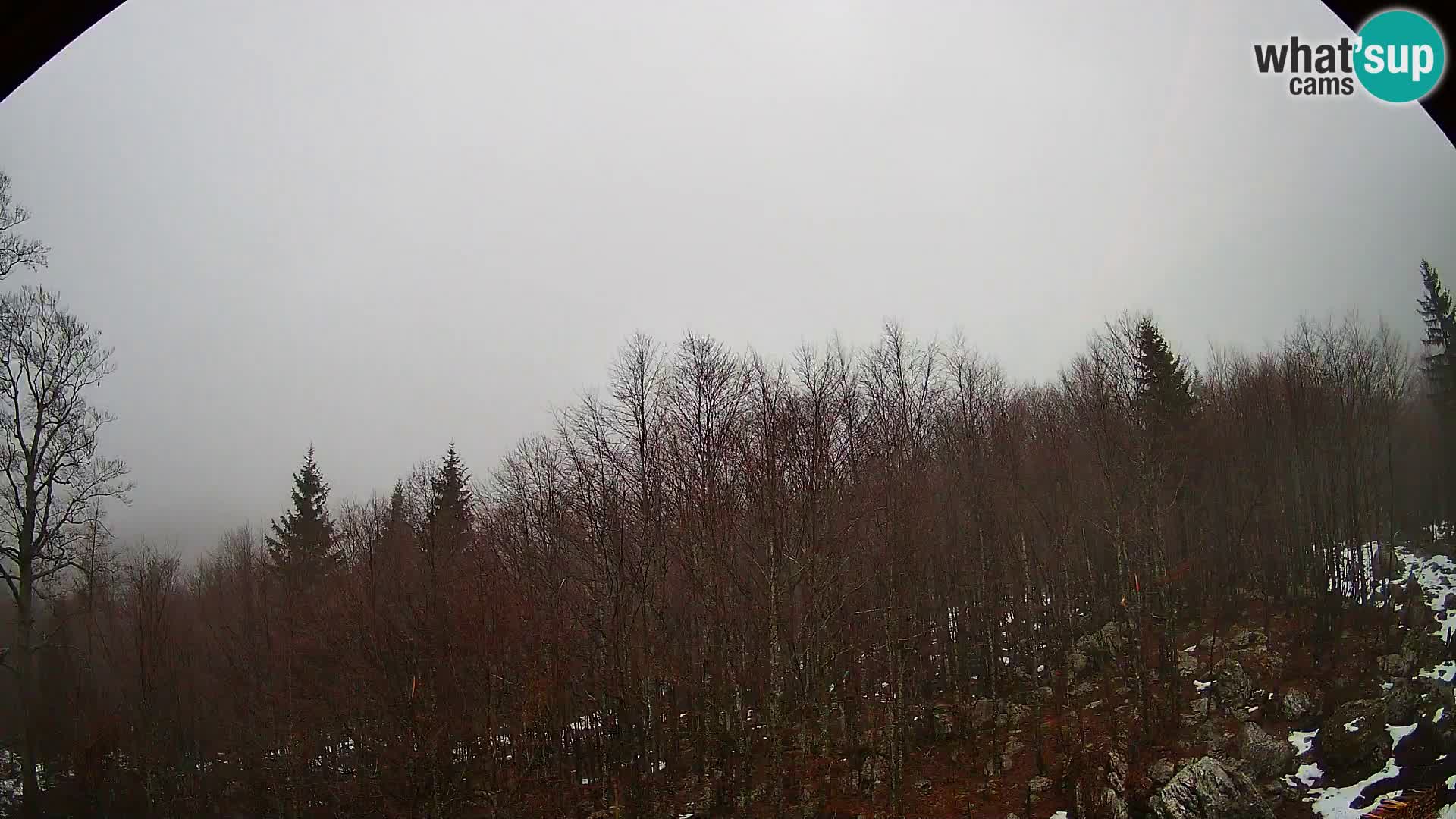 PLANINA RAZOR web kamera (1315) | pogled na Vogel i Globoko