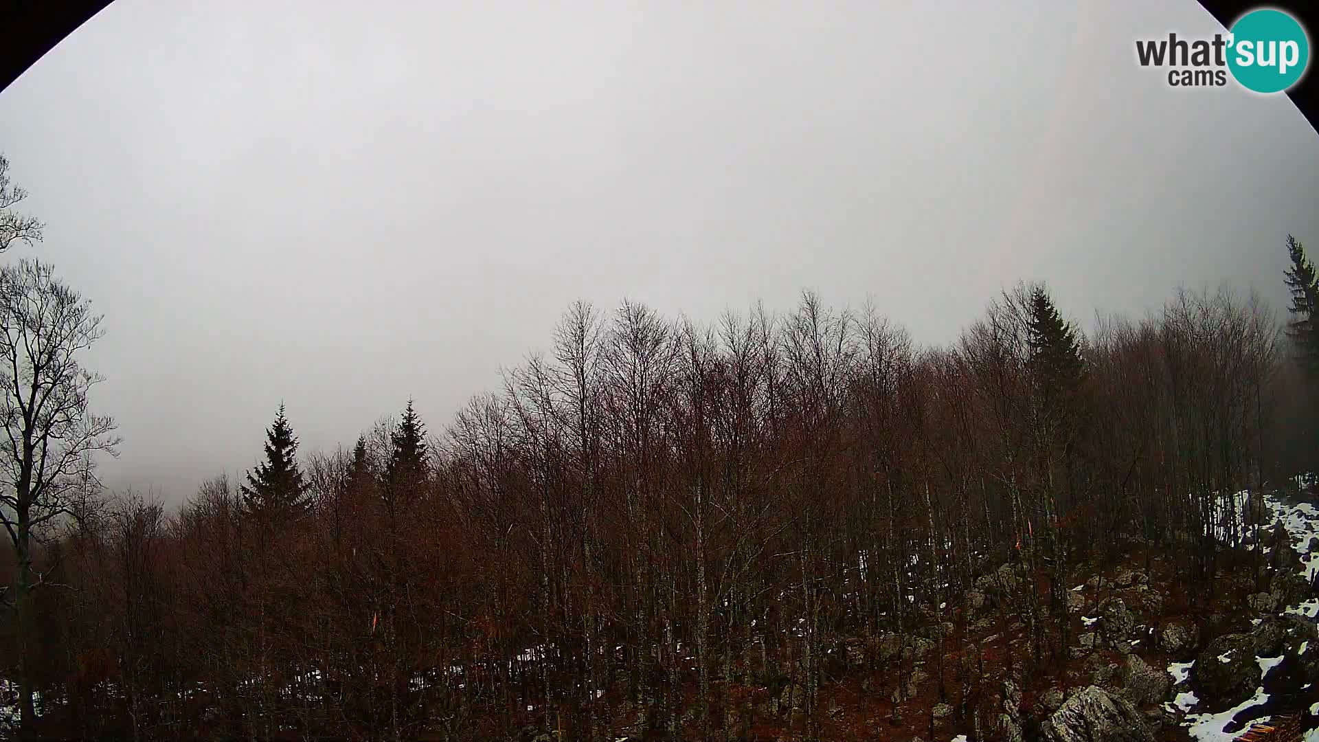 Webcam PLANINA RAZOR (1315) | Blick auf Vogel und Globoko