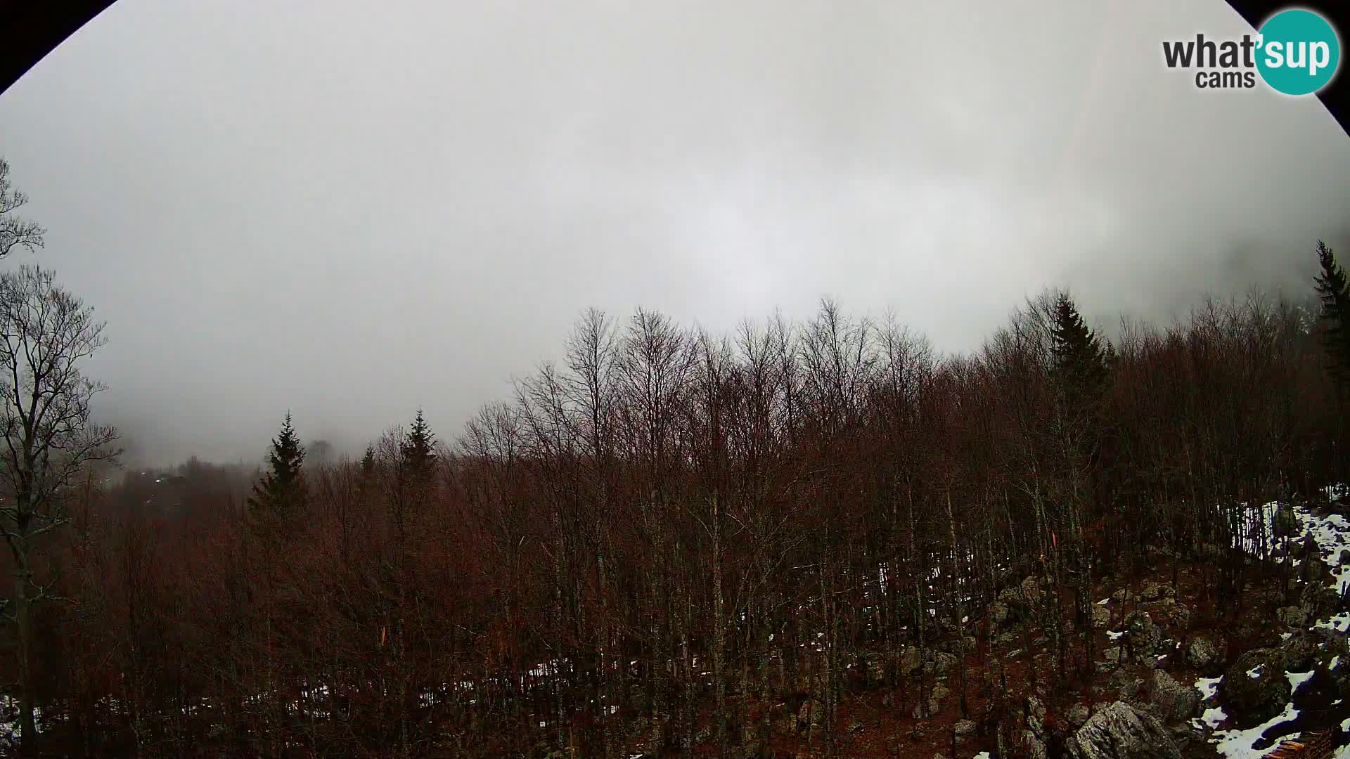 PLANINA RAZOR kamera (1315) | pogled na Vogel in Globoko