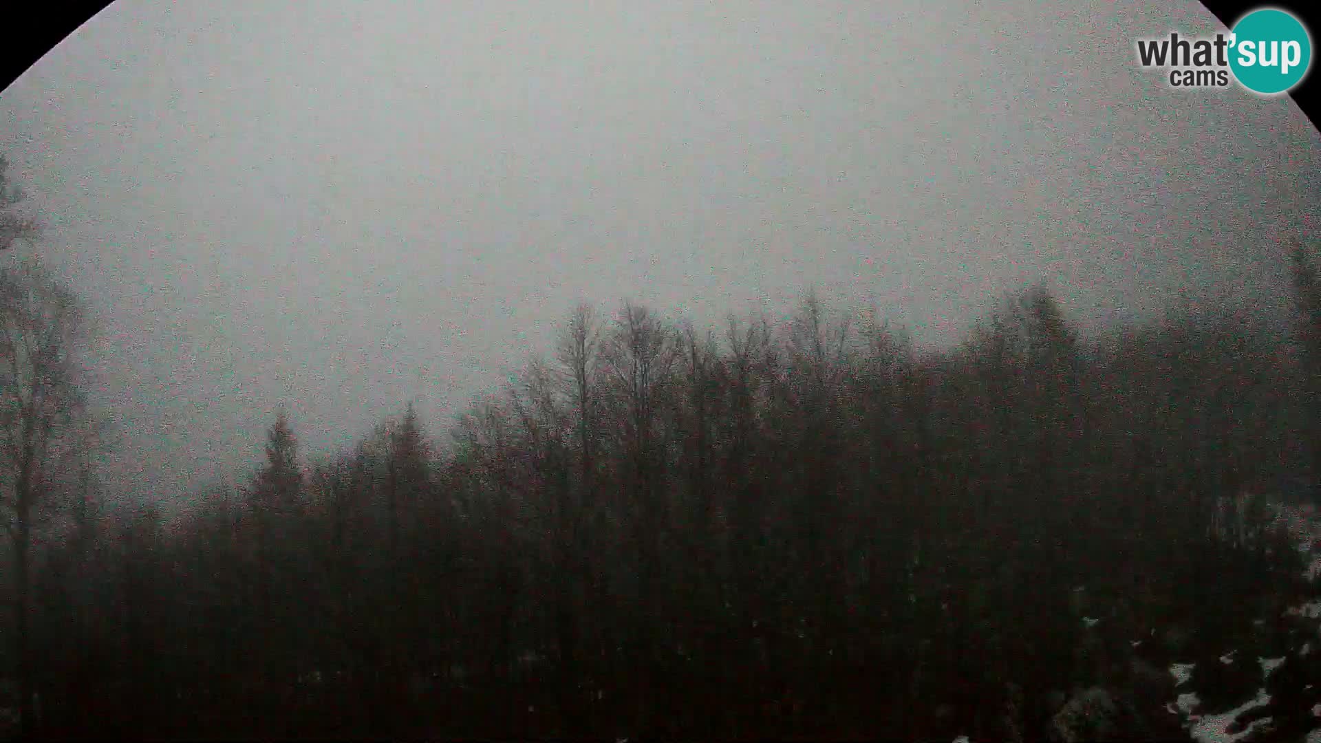 Livecam PLANINA RAZOR (1315) | vue sur Vogel et Globoko