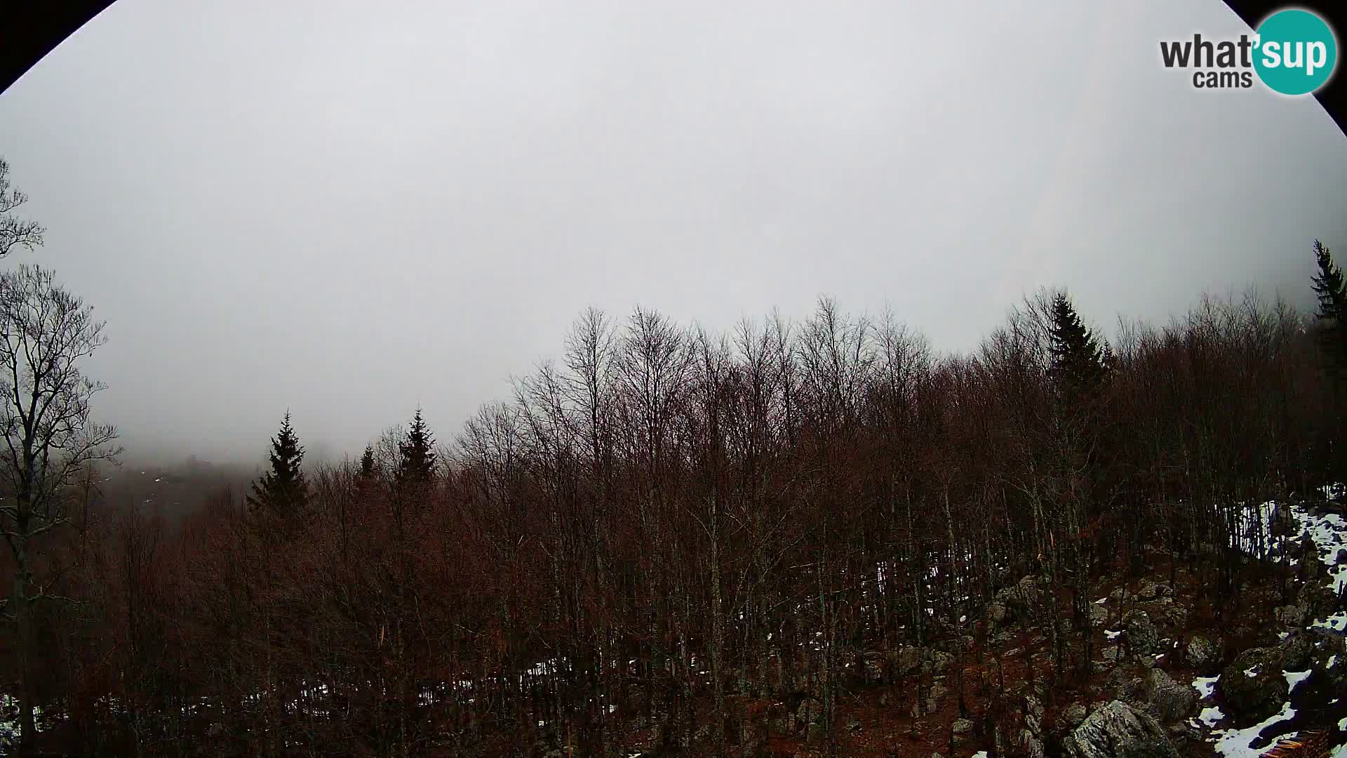 Livecam PLANINA RAZOR (1315) | vue sur Vogel et Globoko