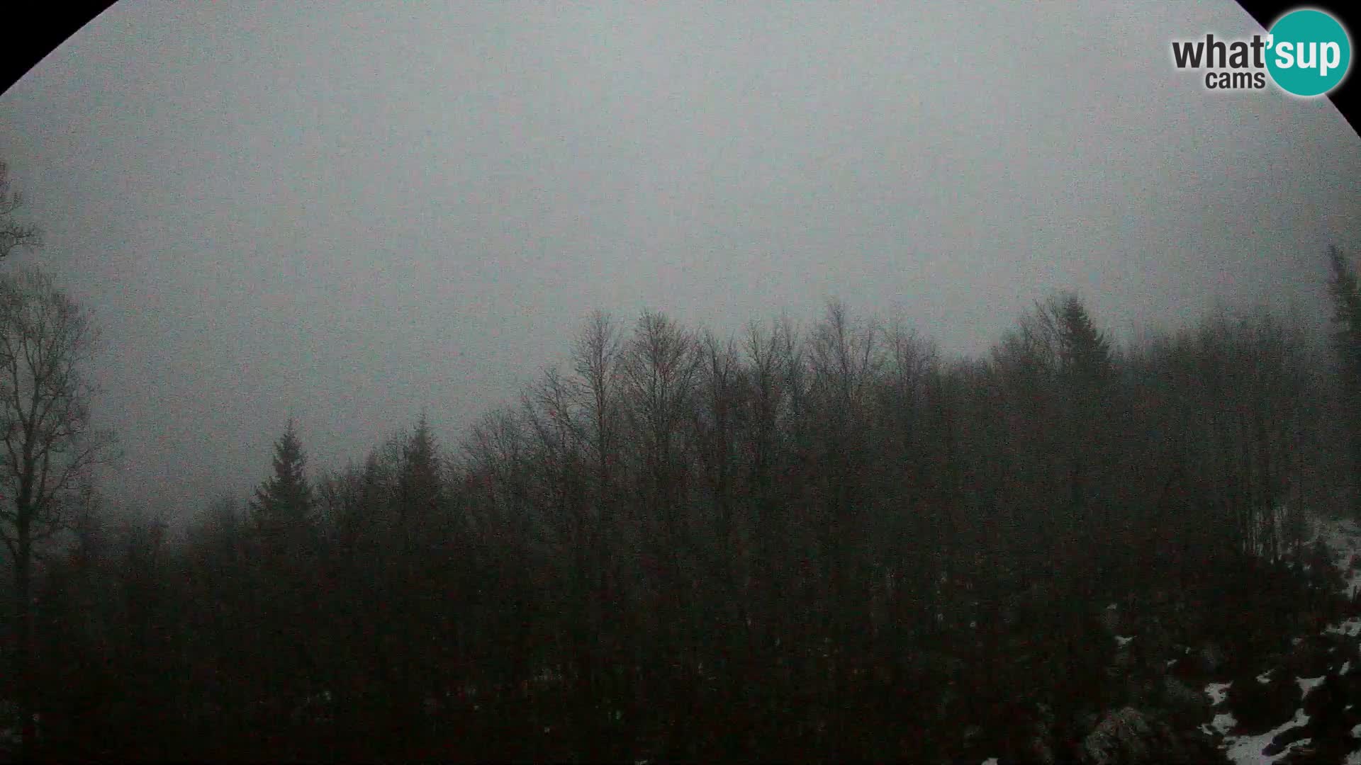 Webcam PLANINA RAZOR (1315) | Blick auf Vogel und Globoko