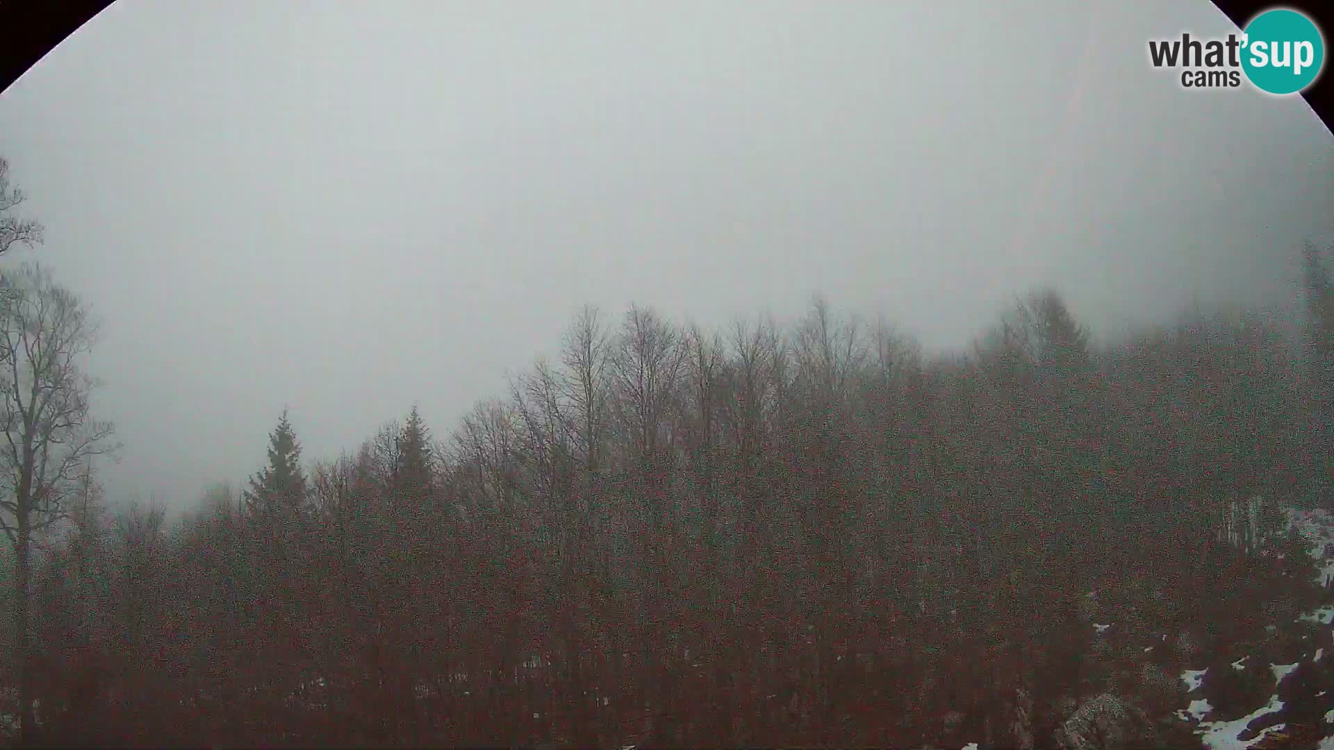 Webcam PLANINA RAZOR (1315) | Blick auf Vogel und Globoko