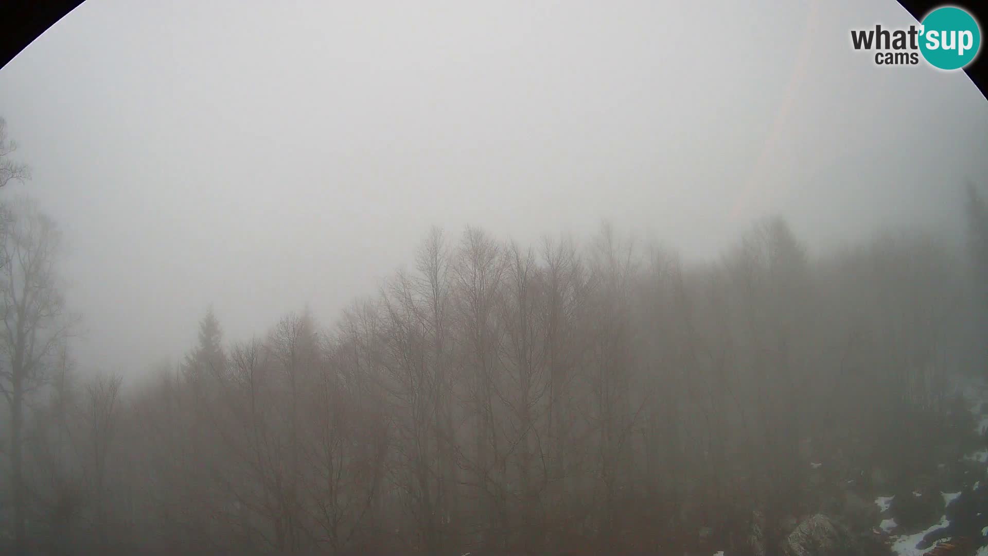 PLANINA RAZOR Live Cam (1315) | vista su Vogel e Globoko