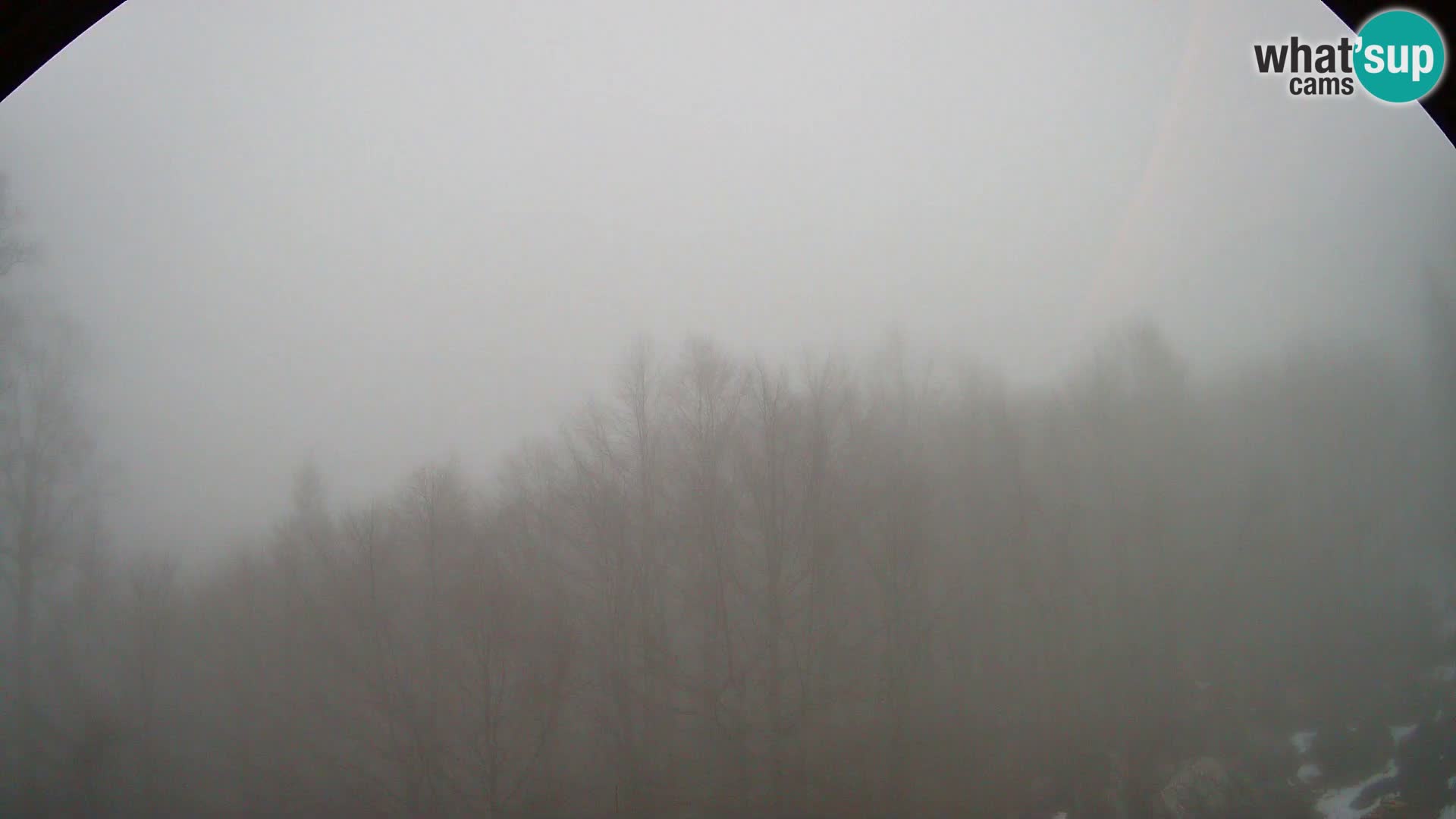 Cámara web PLANINA RAZOR (1315) | vista a Vogel y Globoko