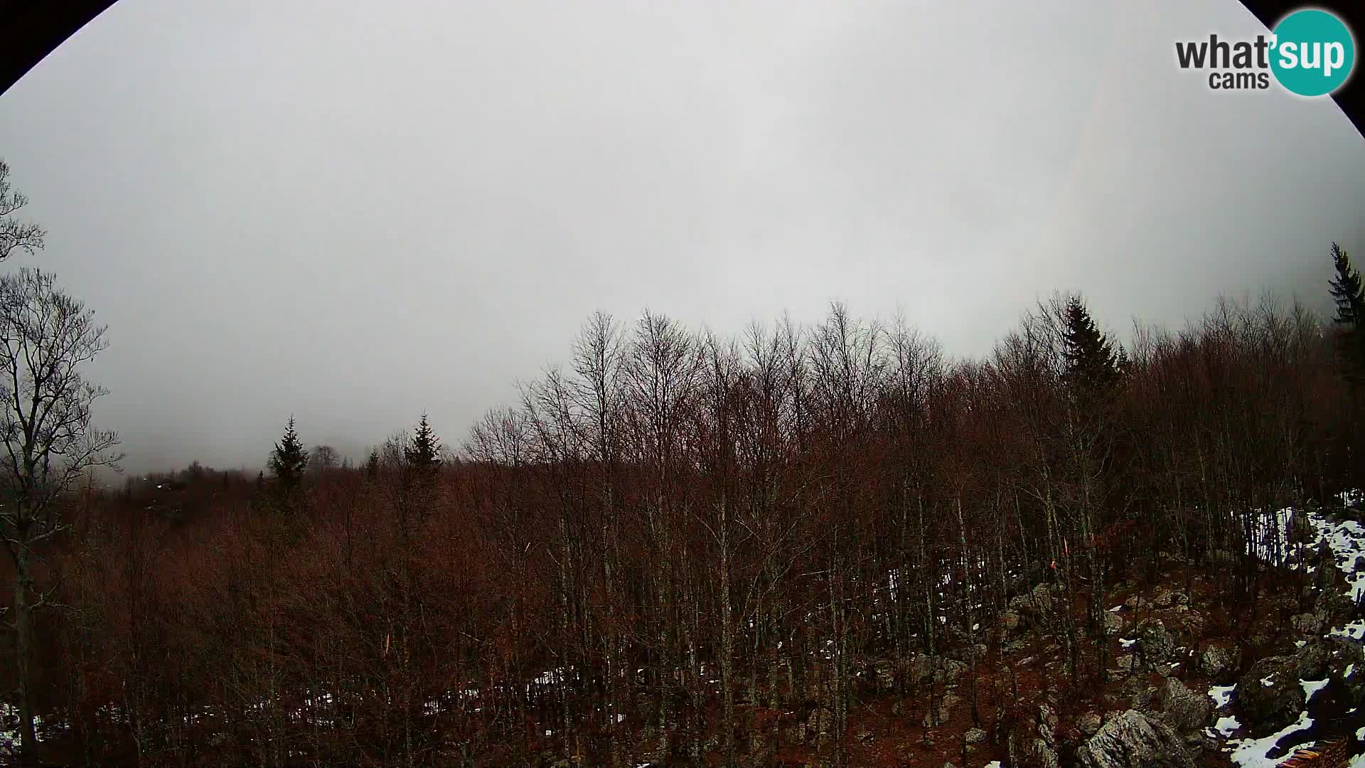 PLANINA RAZOR webcam (1315) | view to Vogel and Globoko