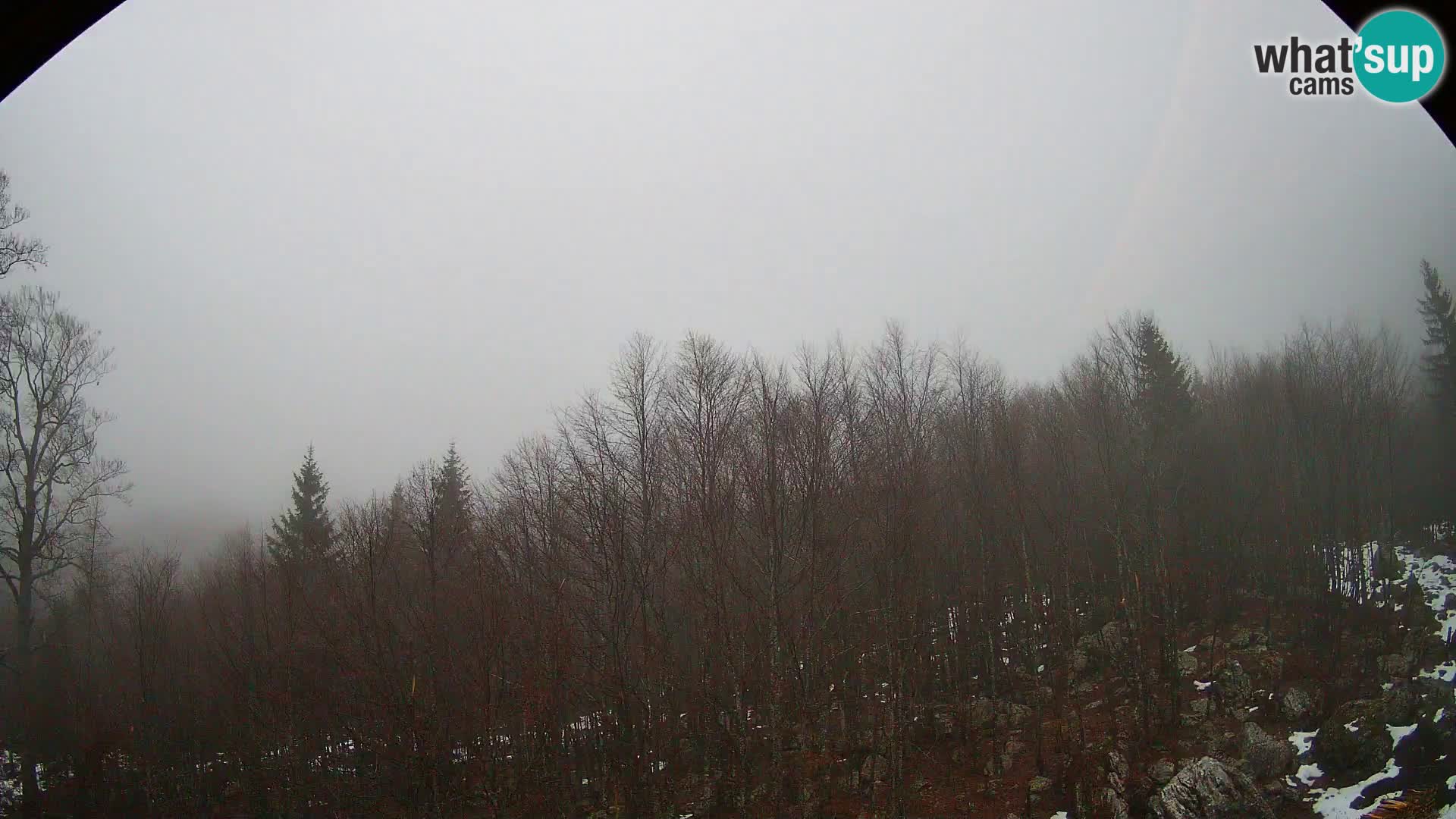 Livecam PLANINA RAZOR (1315) | vue sur Vogel et Globoko