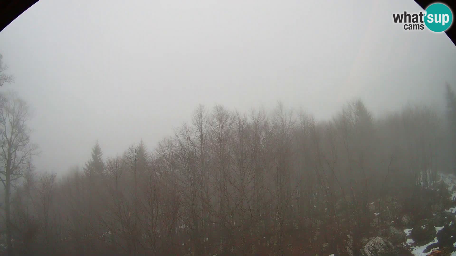 PLANINA RAZOR kamera (1315) | pogled na Vogel in Globoko