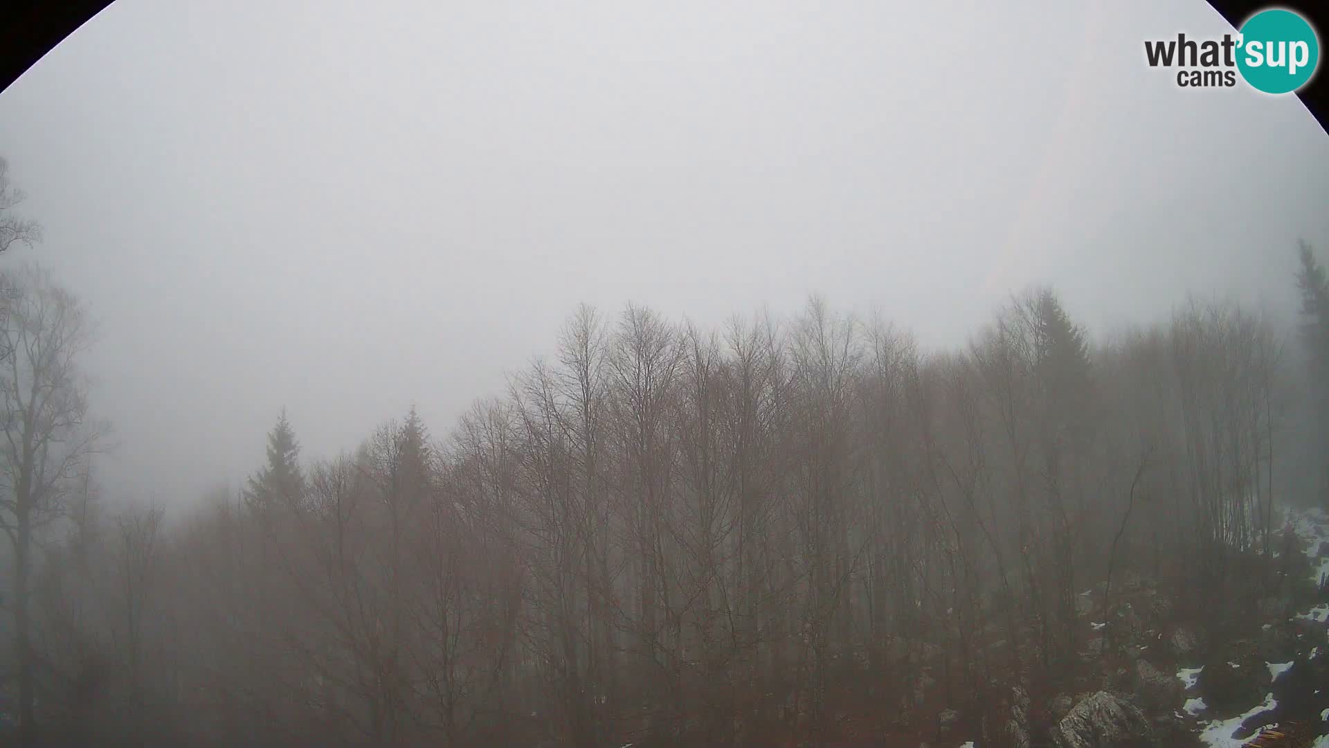 PLANINA RAZOR Live Cam (1315) | vista su Vogel e Globoko