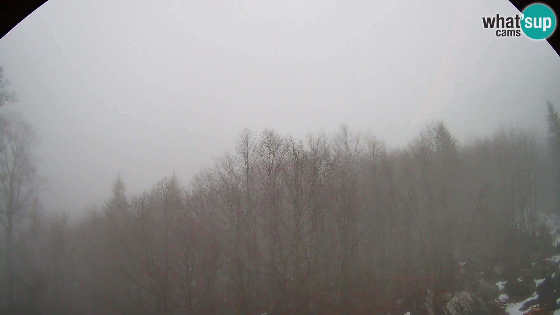 PLANINA RAZOR Live Cam (1315) | vista su Vogel e Globoko