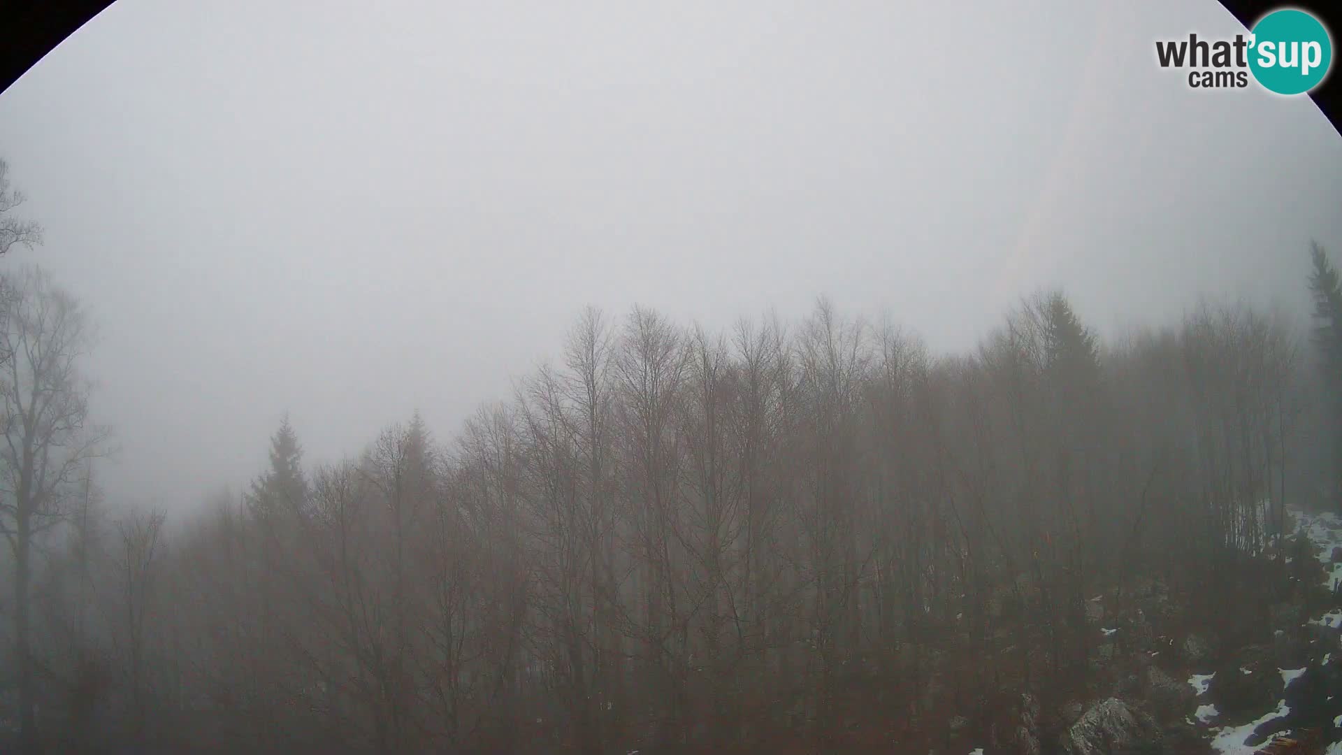 PLANINA RAZOR webcam (1315) | view to Vogel and Globoko