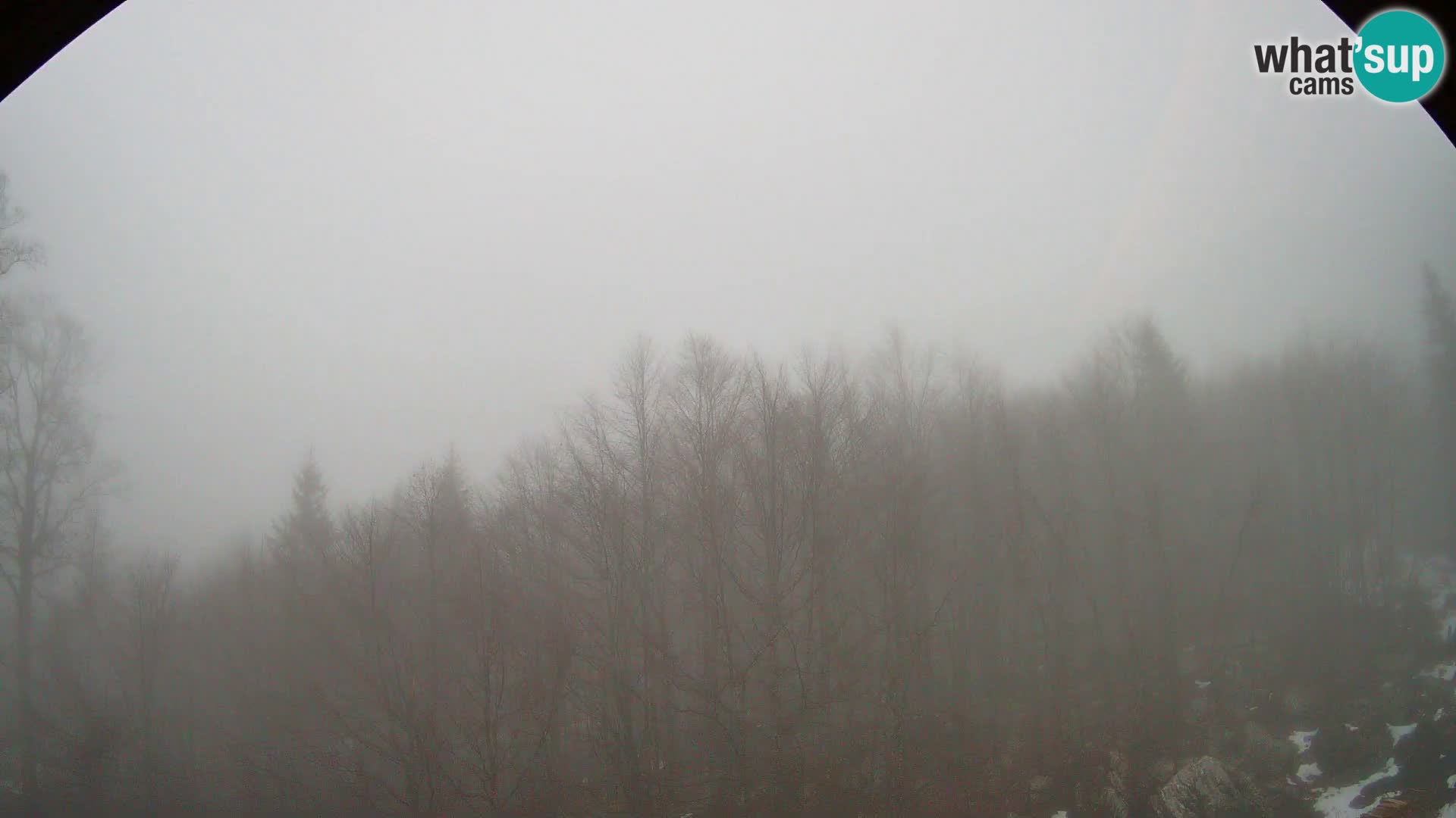 PLANINA RAZOR kamera (1315) | pogled na Vogel in Globoko