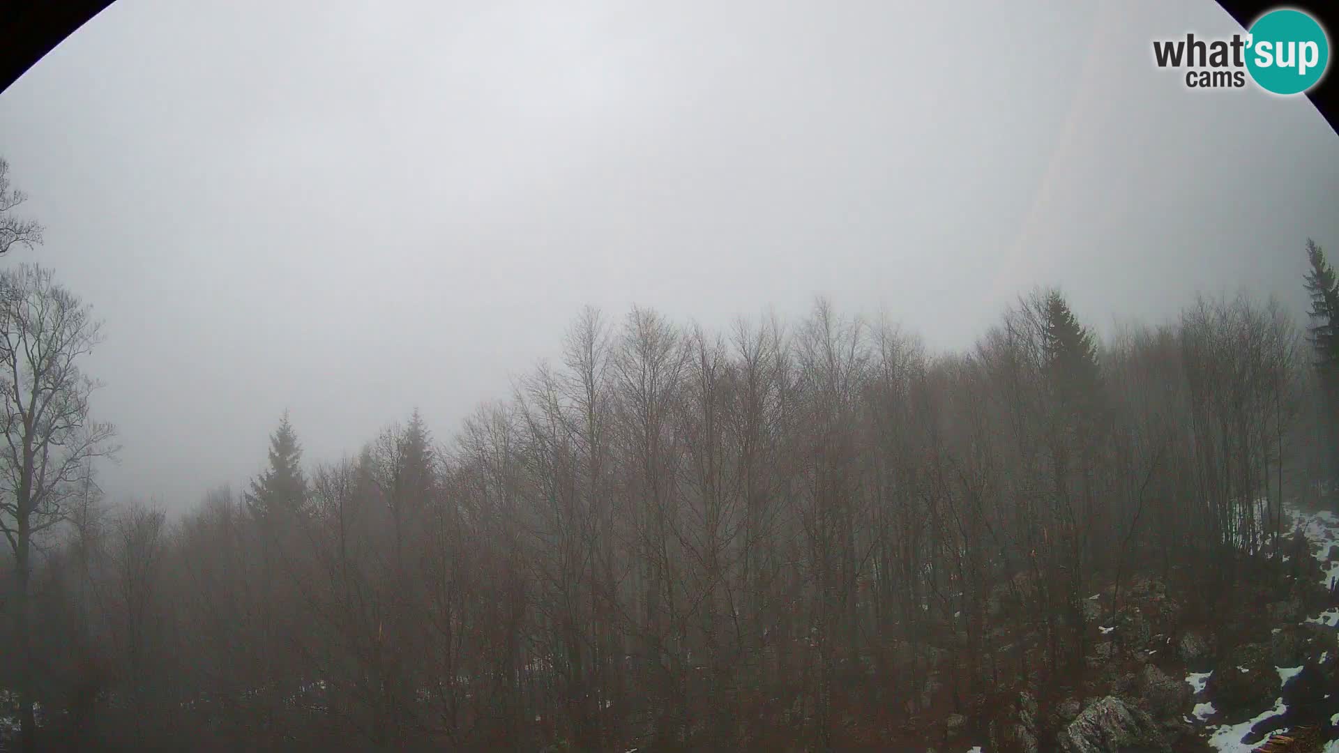 Livecam PLANINA RAZOR (1315) | vue sur Vogel et Globoko