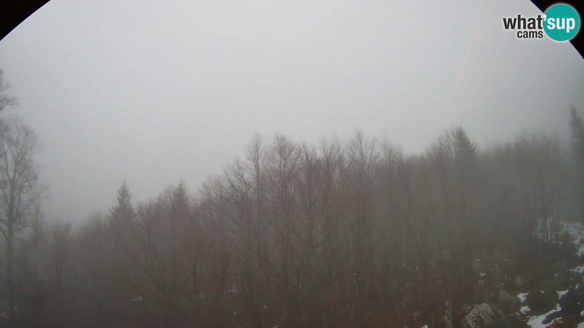 Webcam PLANINA RAZOR (1315) | Blick auf Vogel und Globoko