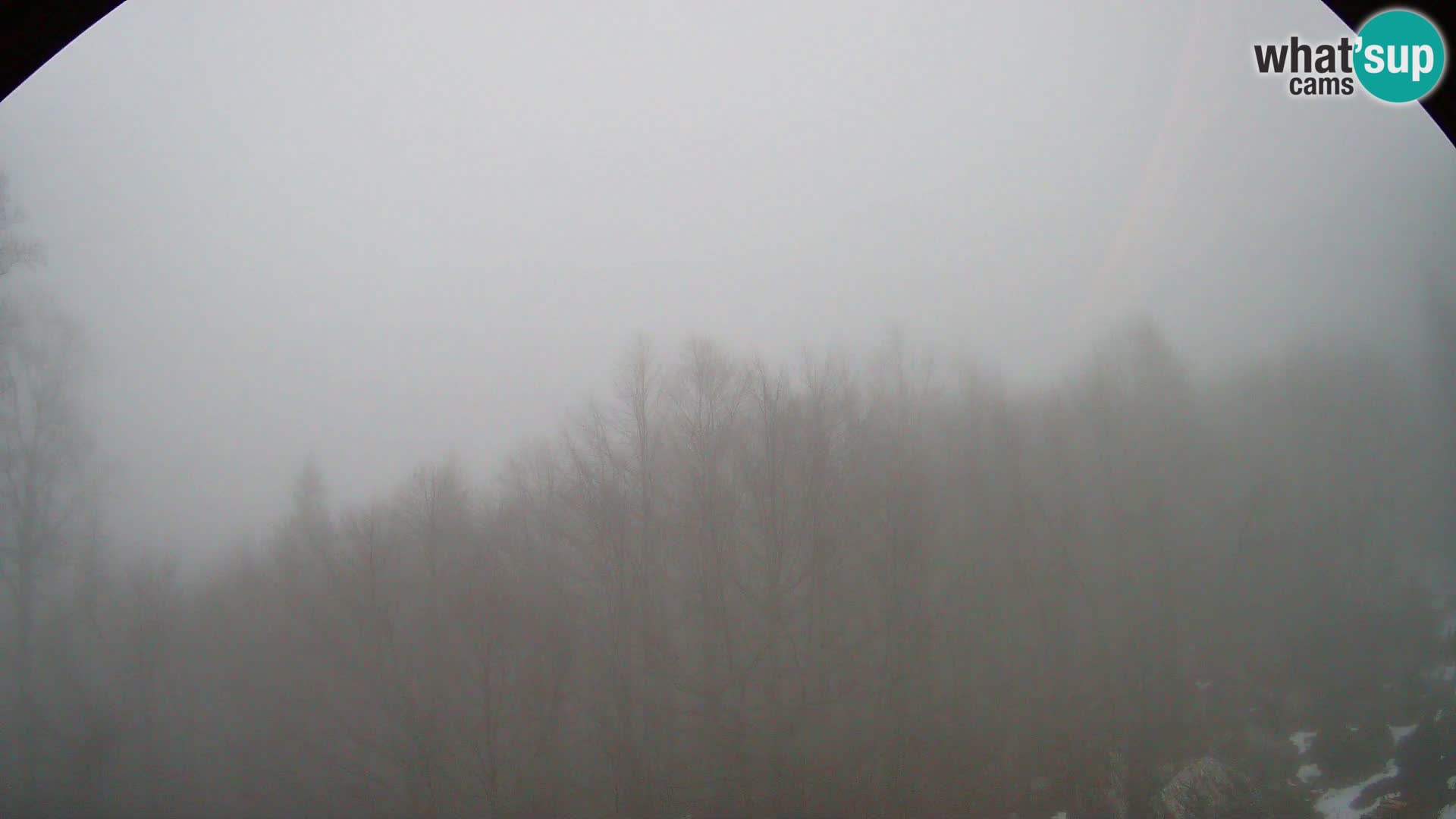 PLANINA RAZOR webcam (1315) | view to Vogel and Globoko