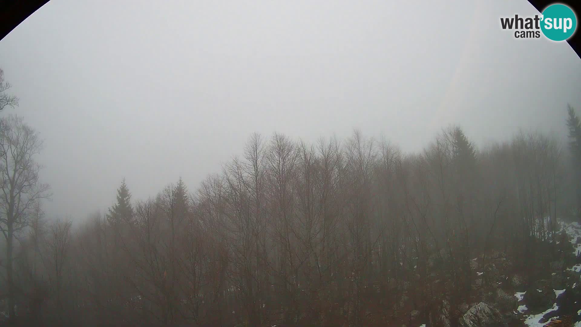 PLANINA RAZOR kamera (1315) | pogled na Vogel in Globoko