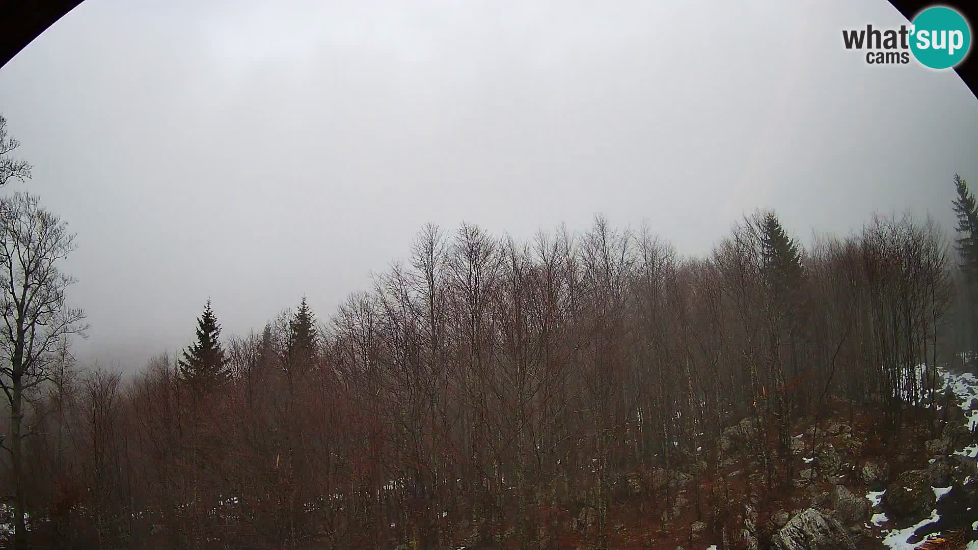 PLANINA RAZOR webcam (1315) | view to Vogel and Globoko