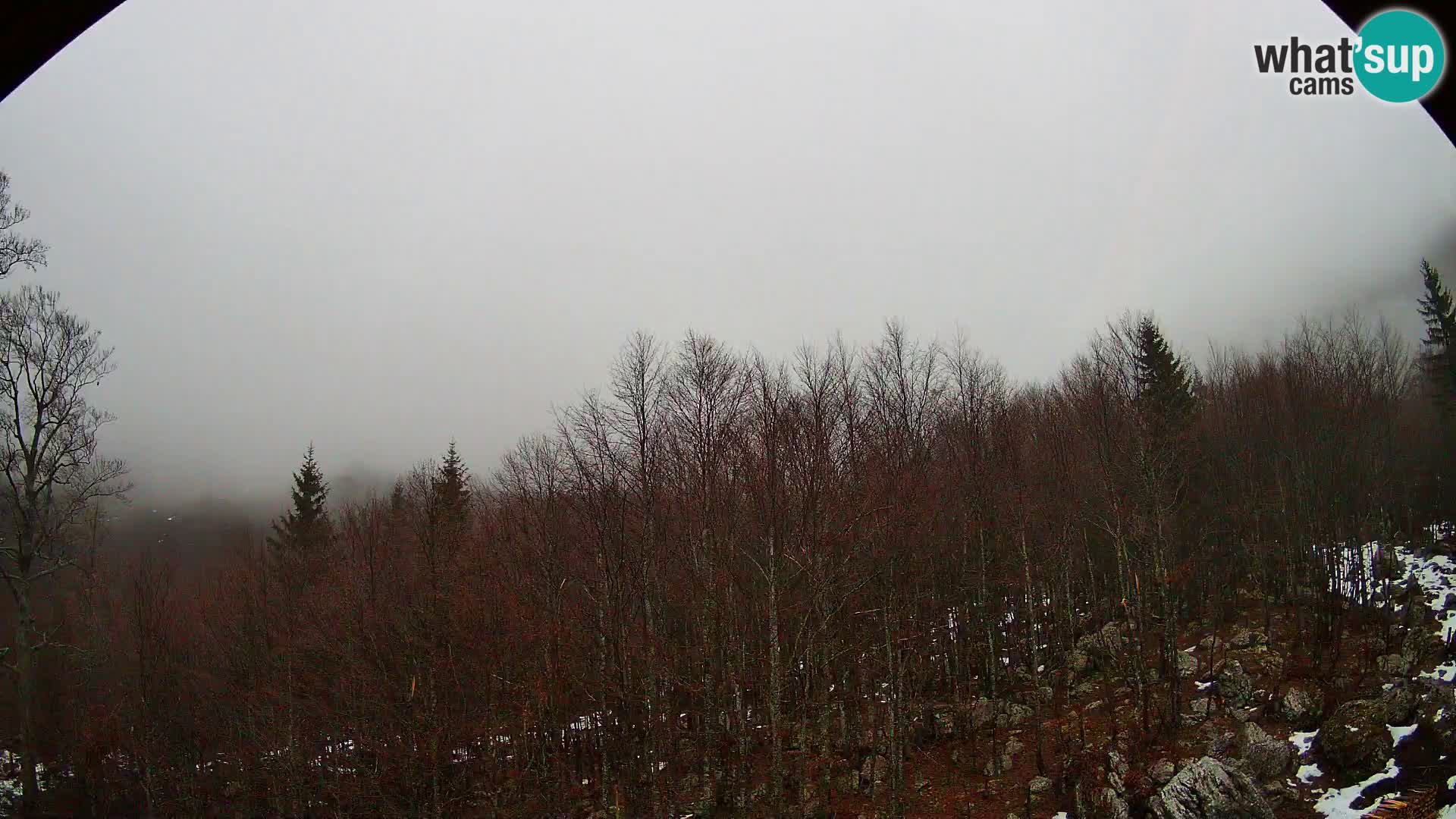 Webcam PLANINA RAZOR (1315) | Blick auf Vogel und Globoko