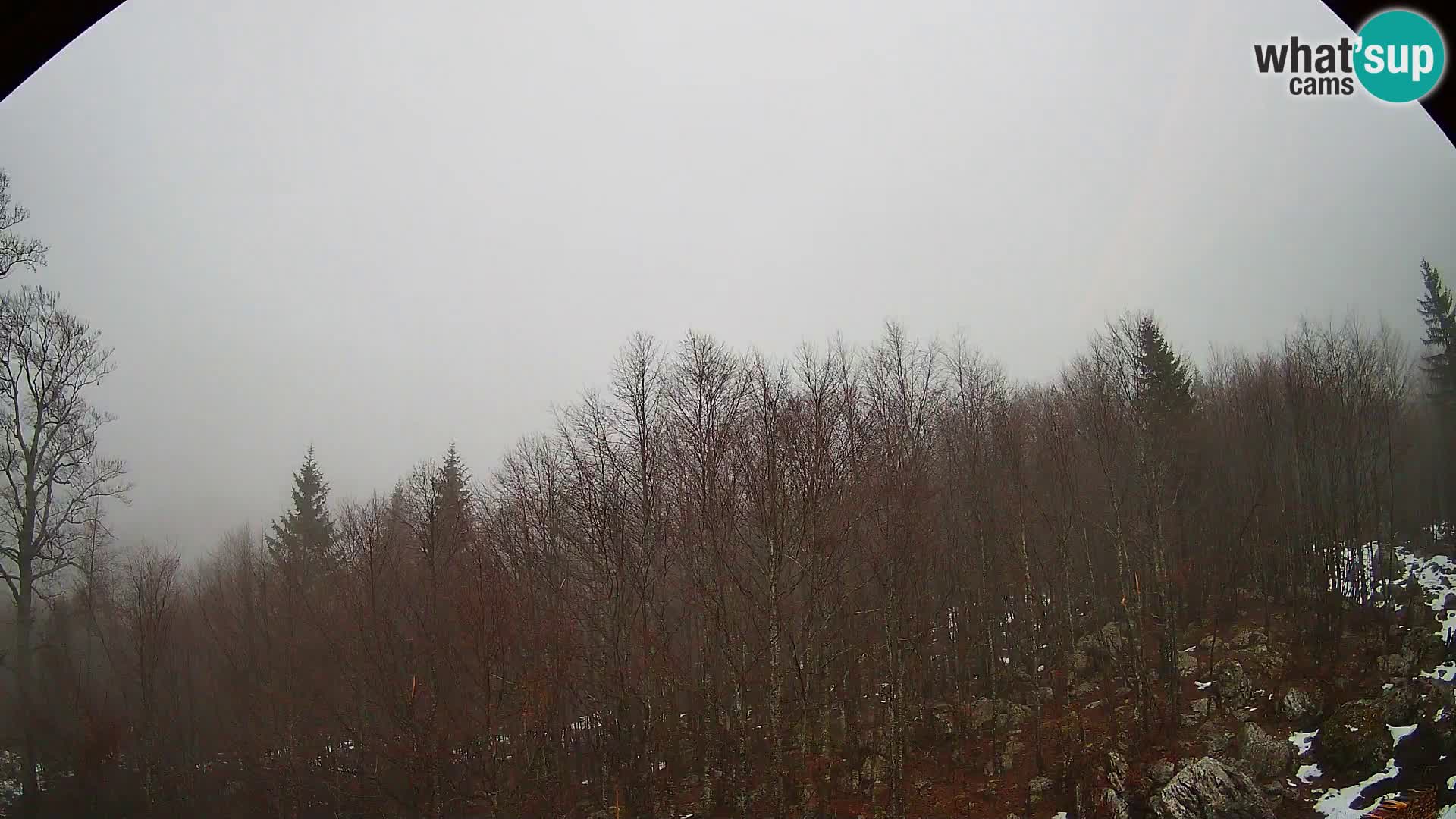 Livecam PLANINA RAZOR (1315) | vue sur Vogel et Globoko