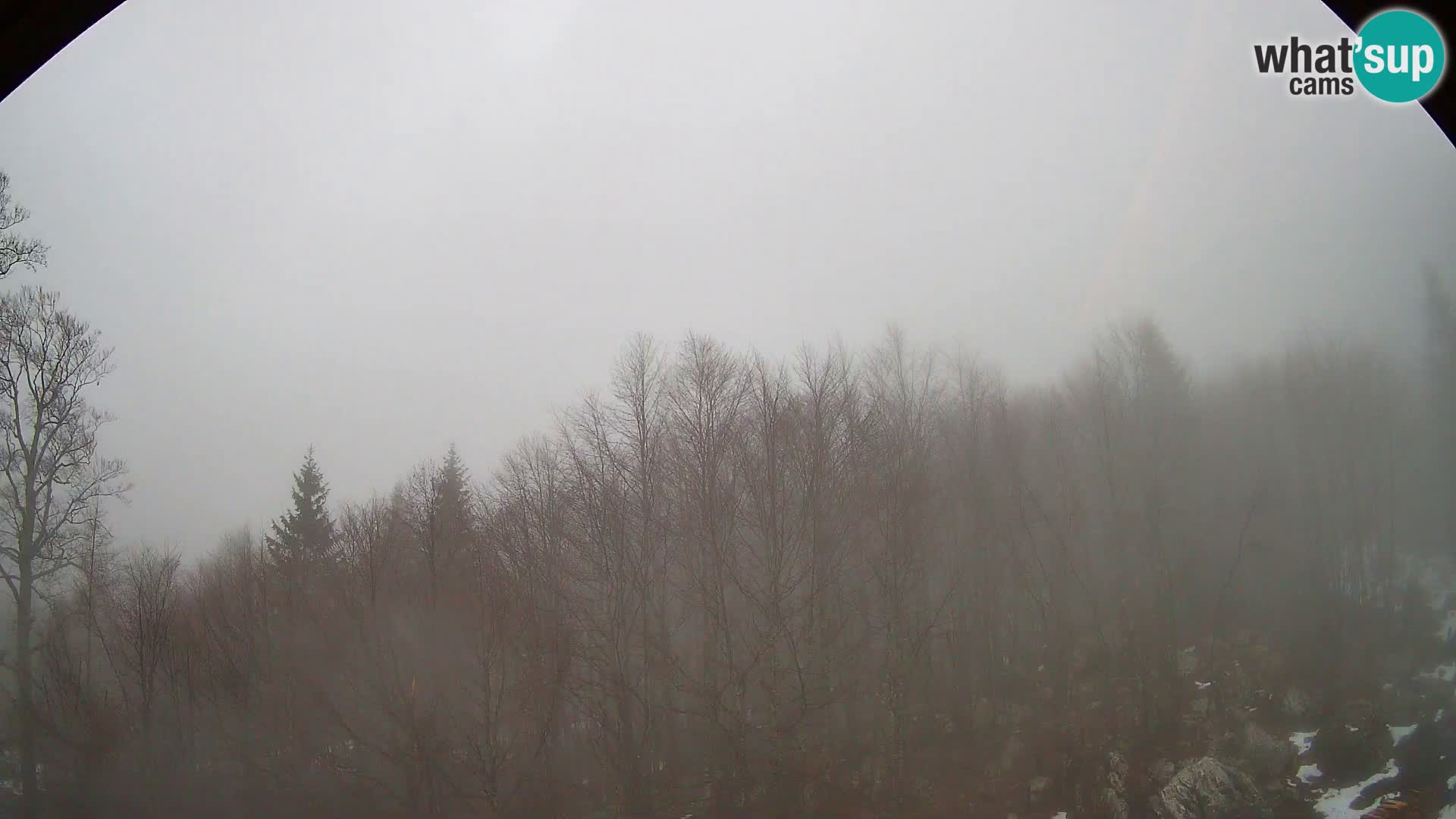 PLANINA RAZOR webcam (1315) | view to Vogel and Globoko