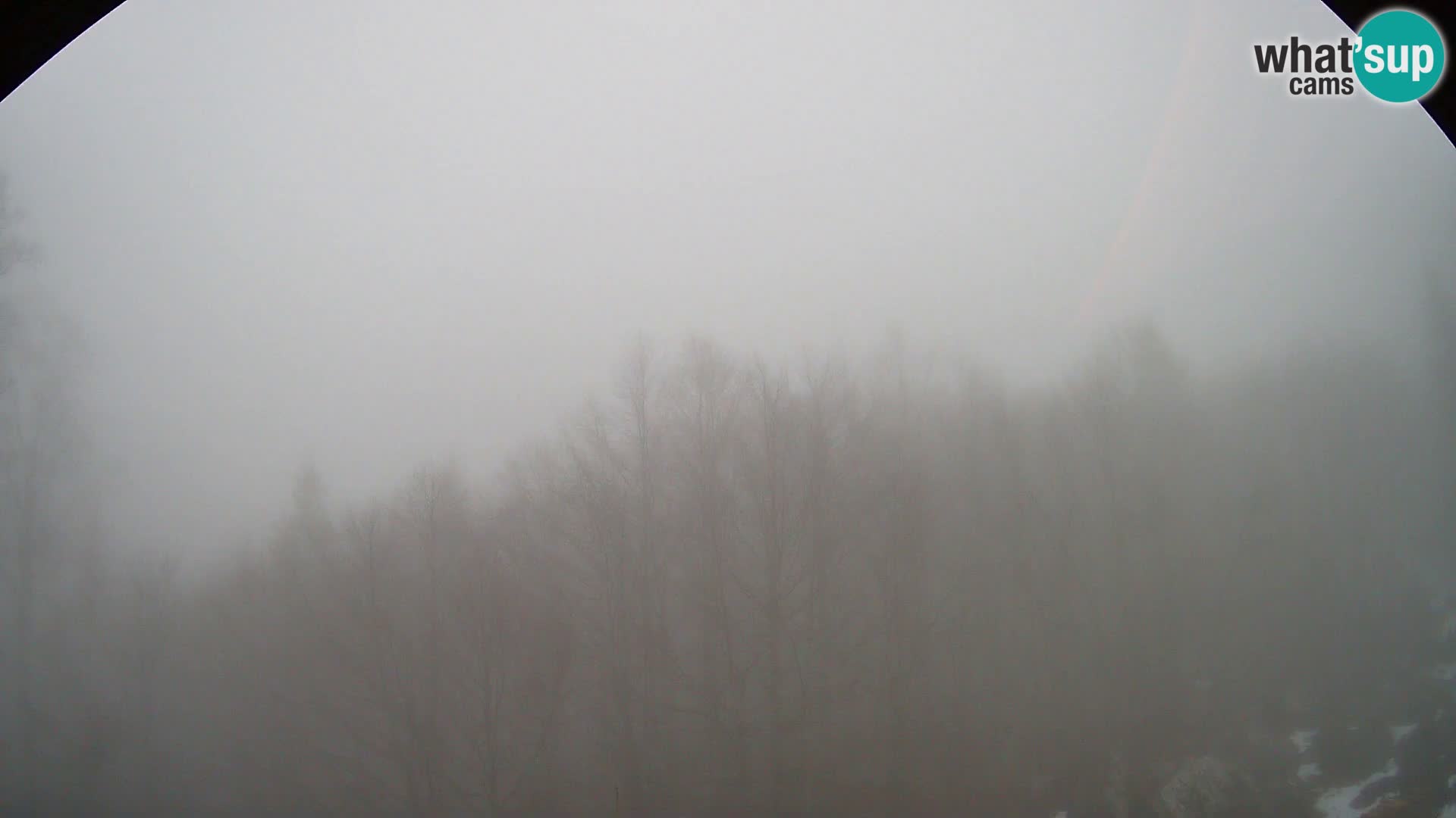 Webcam PLANINA RAZOR (1315) | Blick auf Vogel und Globoko