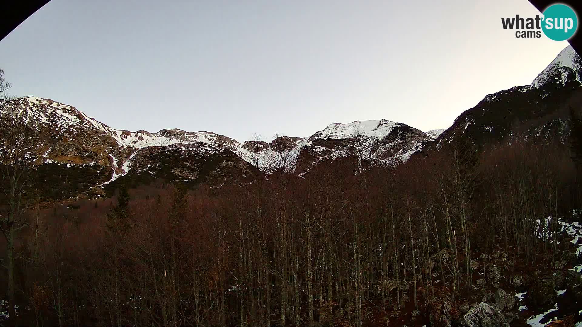 PLANINA RAZOR webcam (1315) | view to Vogel and Globoko