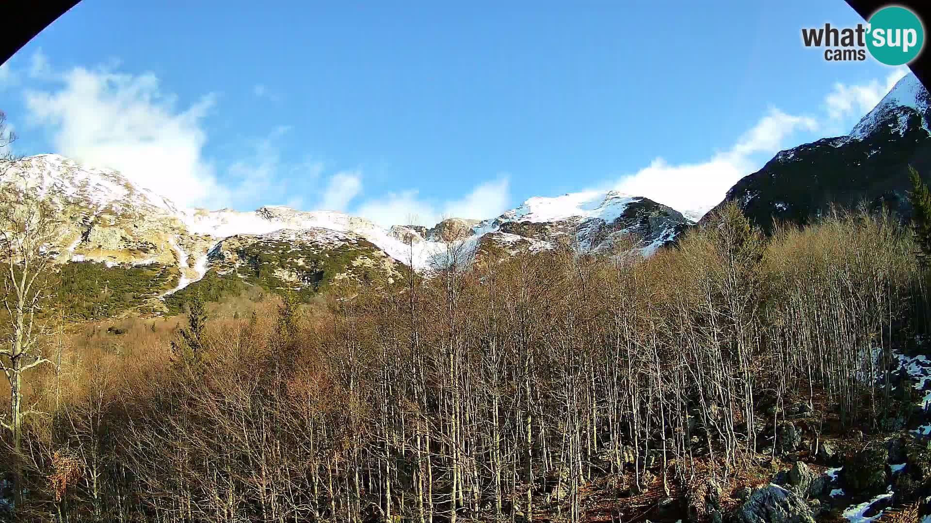 PLANINA RAZOR kamera (1315) | pogled na Vogel in Globoko