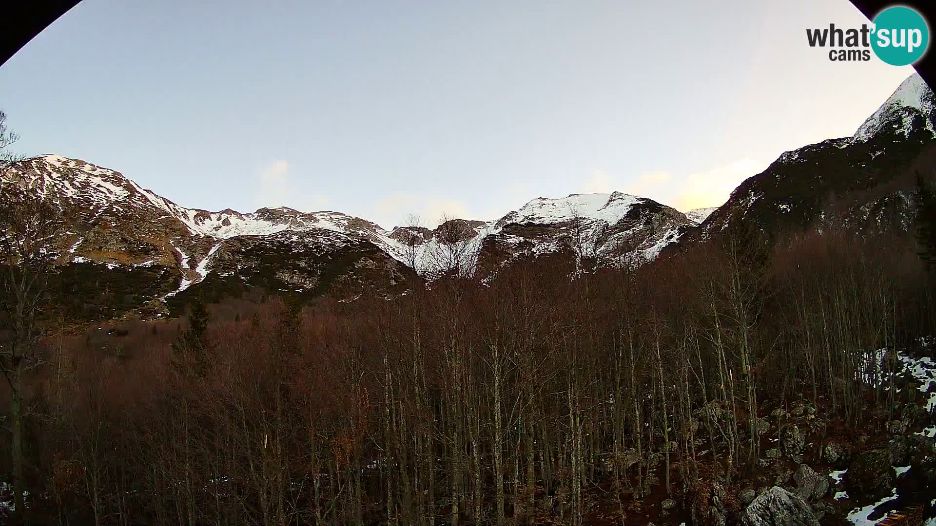 Webcam PLANINA RAZOR (1315) | Blick auf Vogel und Globoko