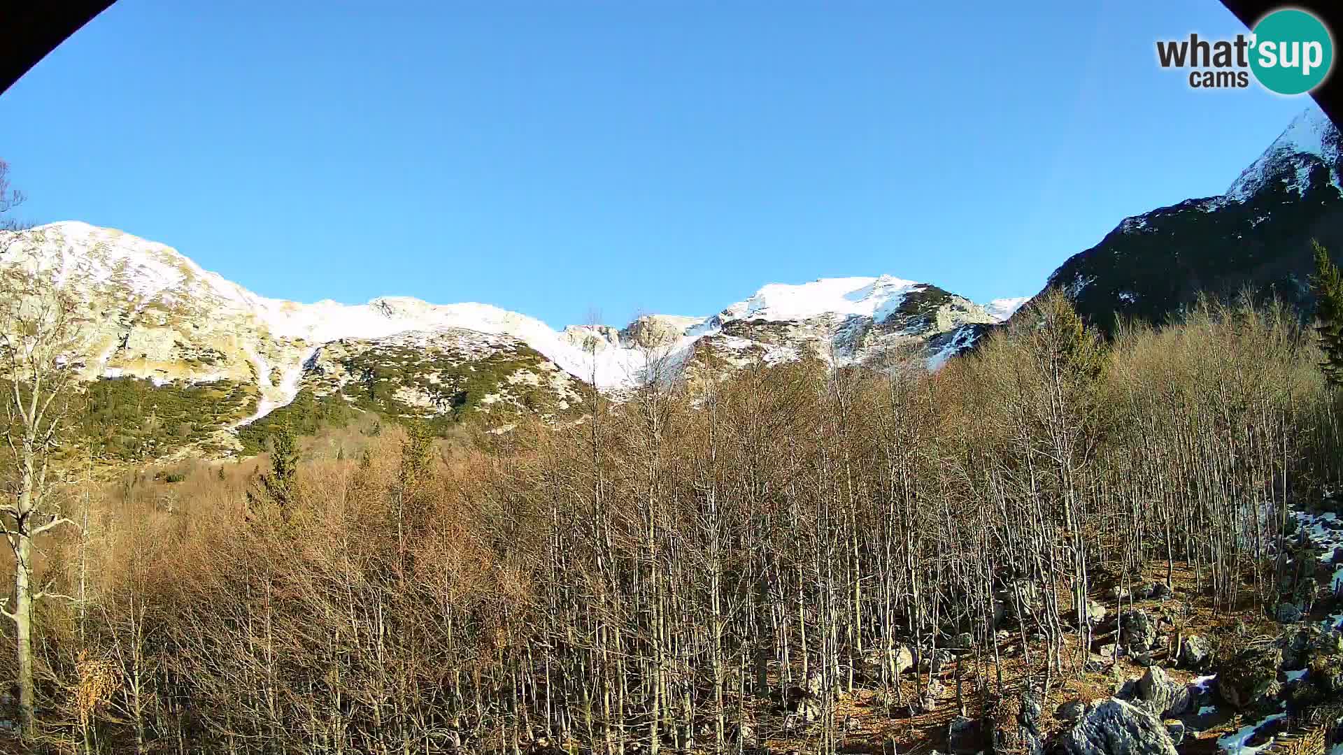 Webcam PLANINA RAZOR (1315) | Blick auf Vogel und Globoko