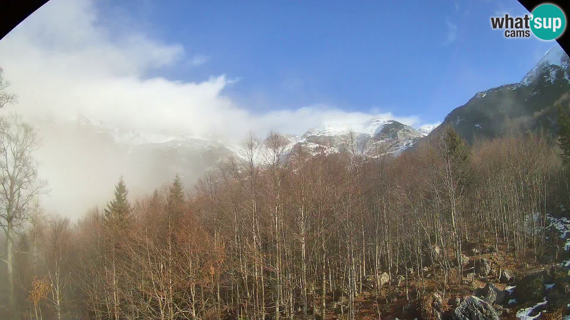 PLANINA RAZOR kamera (1315) | pogled na Vogel in Globoko
