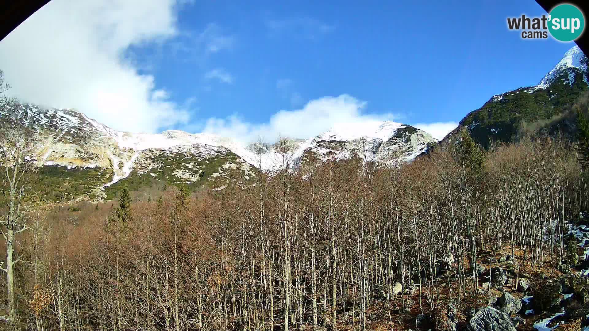 PLANINA RAZOR kamera (1315) | pogled na Vogel in Globoko