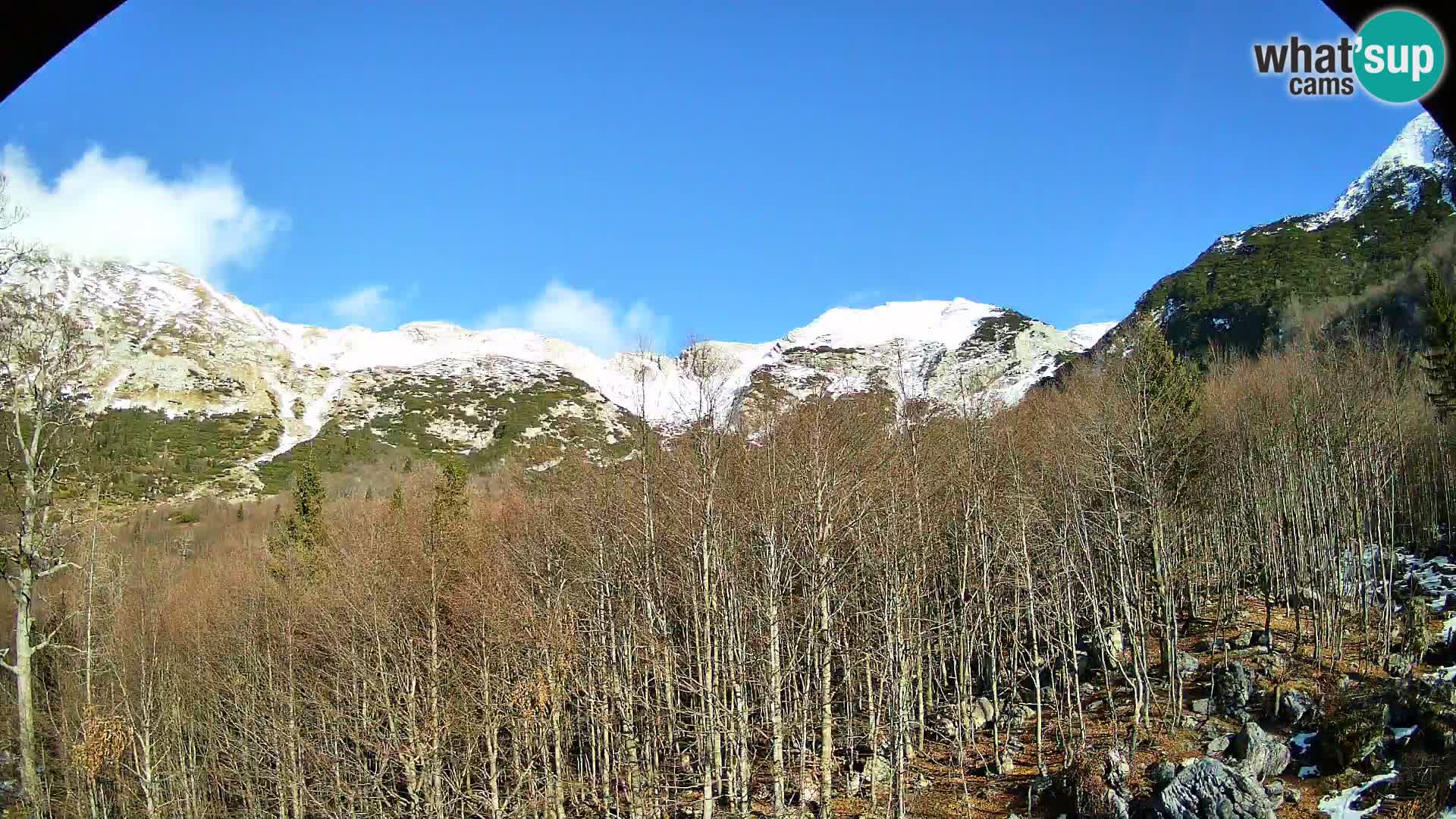 PLANINA RAZOR webcam (1315) | view to Vogel and Globoko