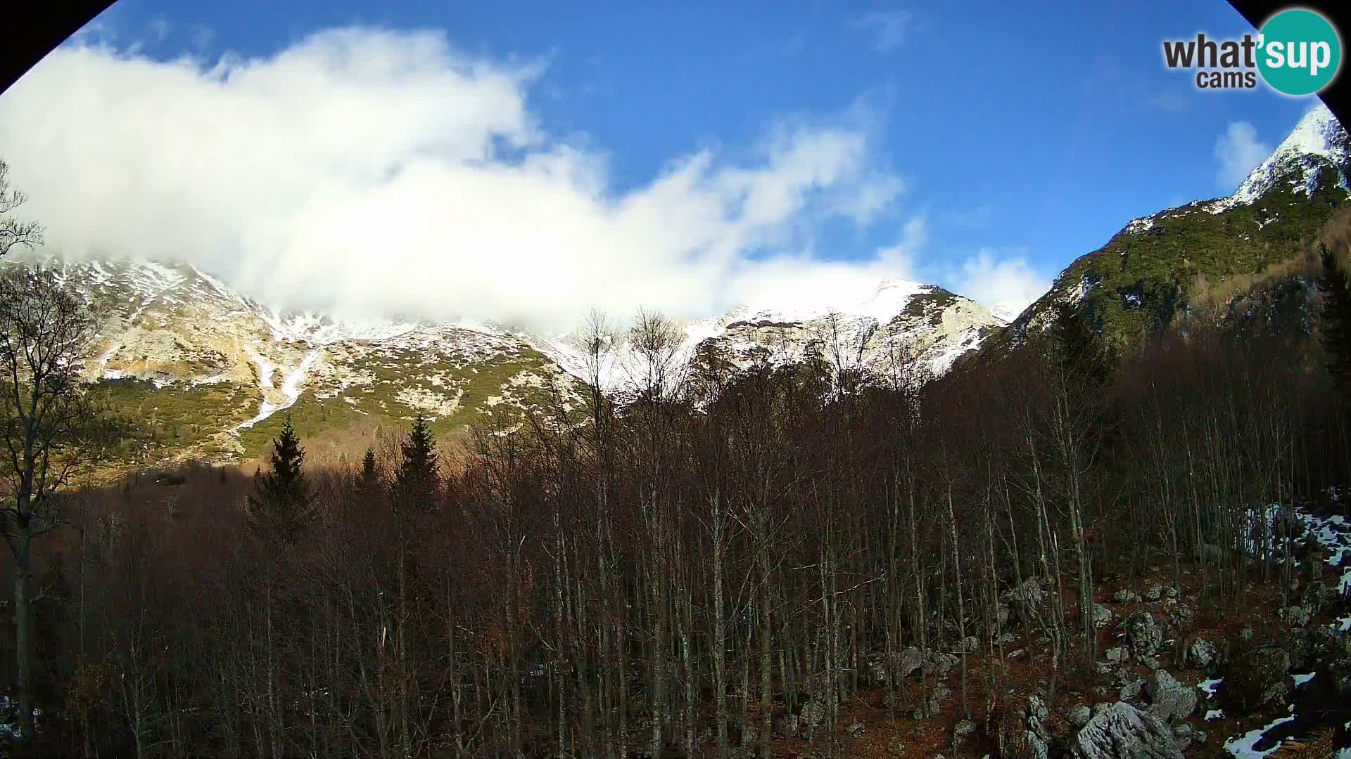 PLANINA RAZOR Live Cam (1315) | vista su Vogel e Globoko