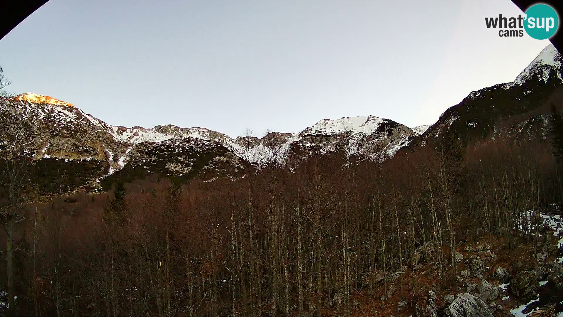 Webcam PLANINA RAZOR (1315) | Blick auf Vogel und Globoko