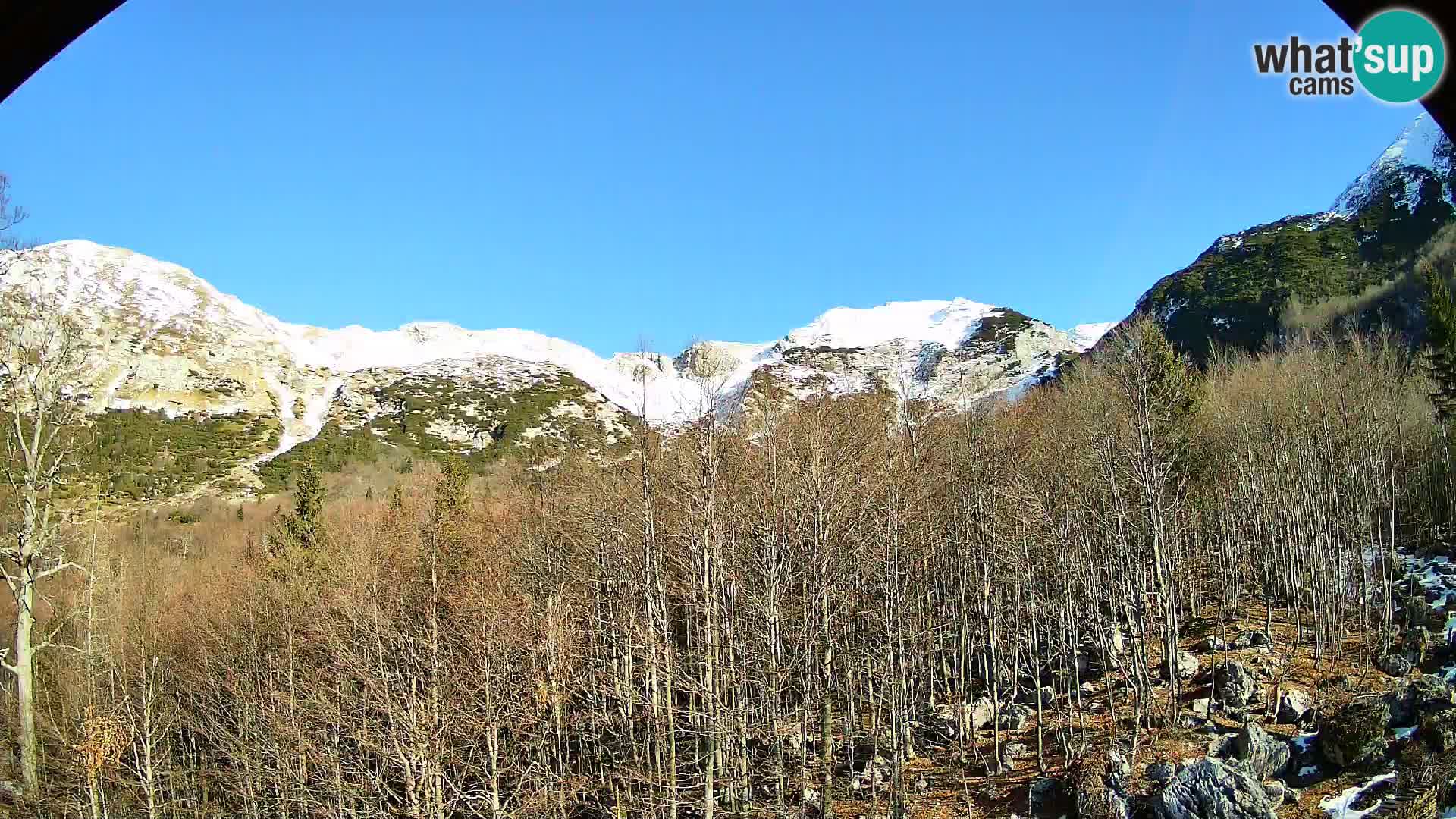 PLANINA RAZOR webcam (1315) | view to Vogel and Globoko