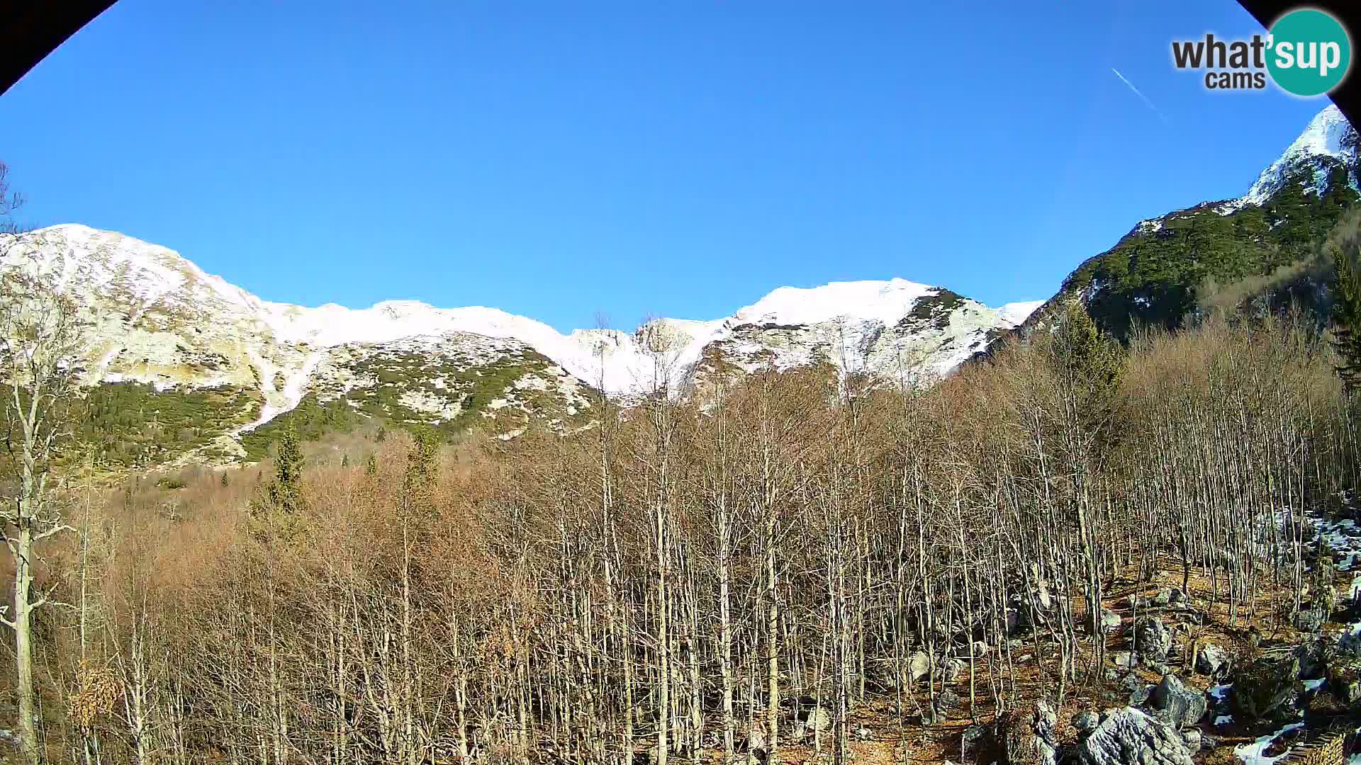 PLANINA RAZOR Live Cam (1315) | vista su Vogel e Globoko