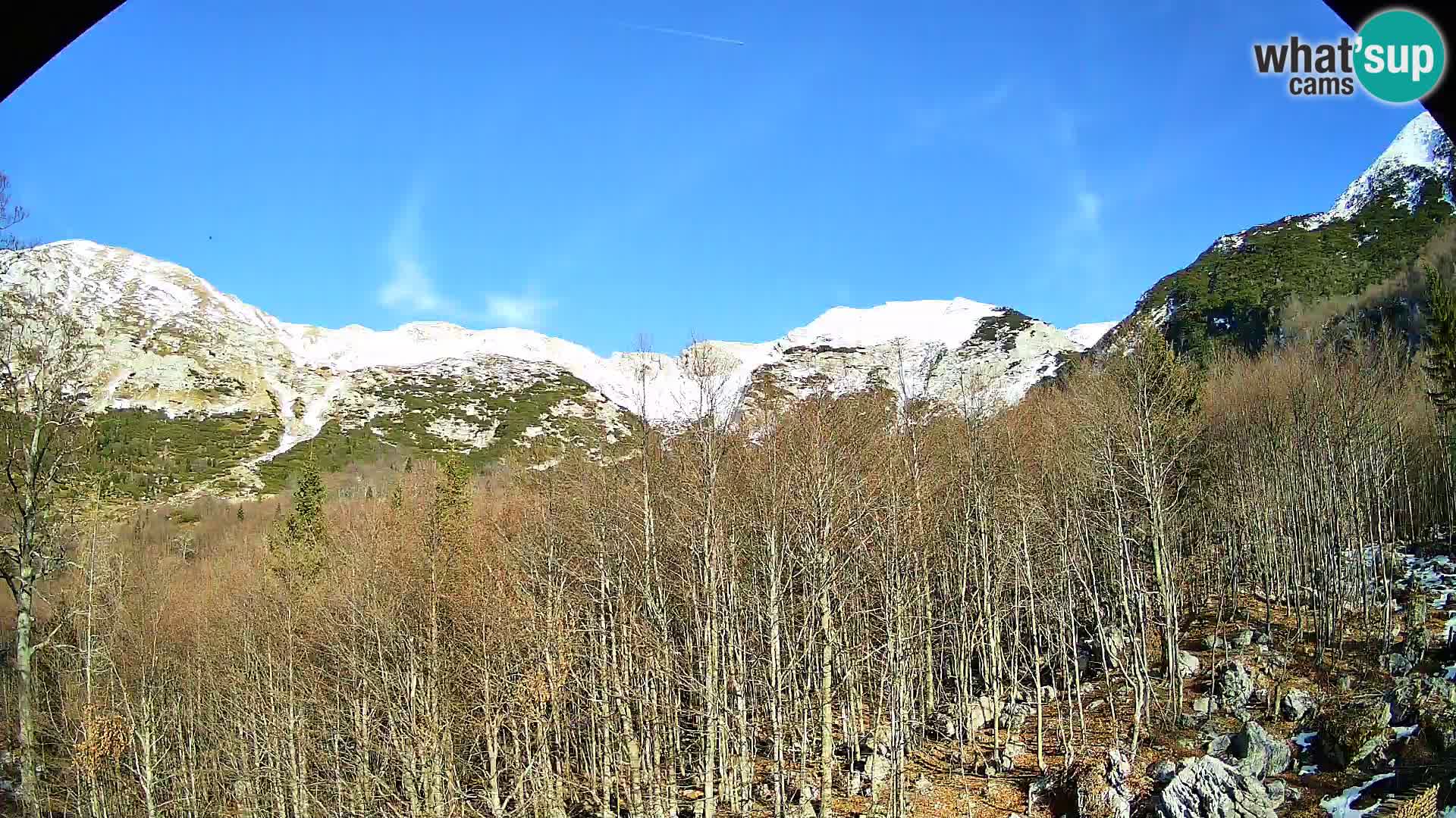 Livecam PLANINA RAZOR (1315) | vue sur Vogel et Globoko