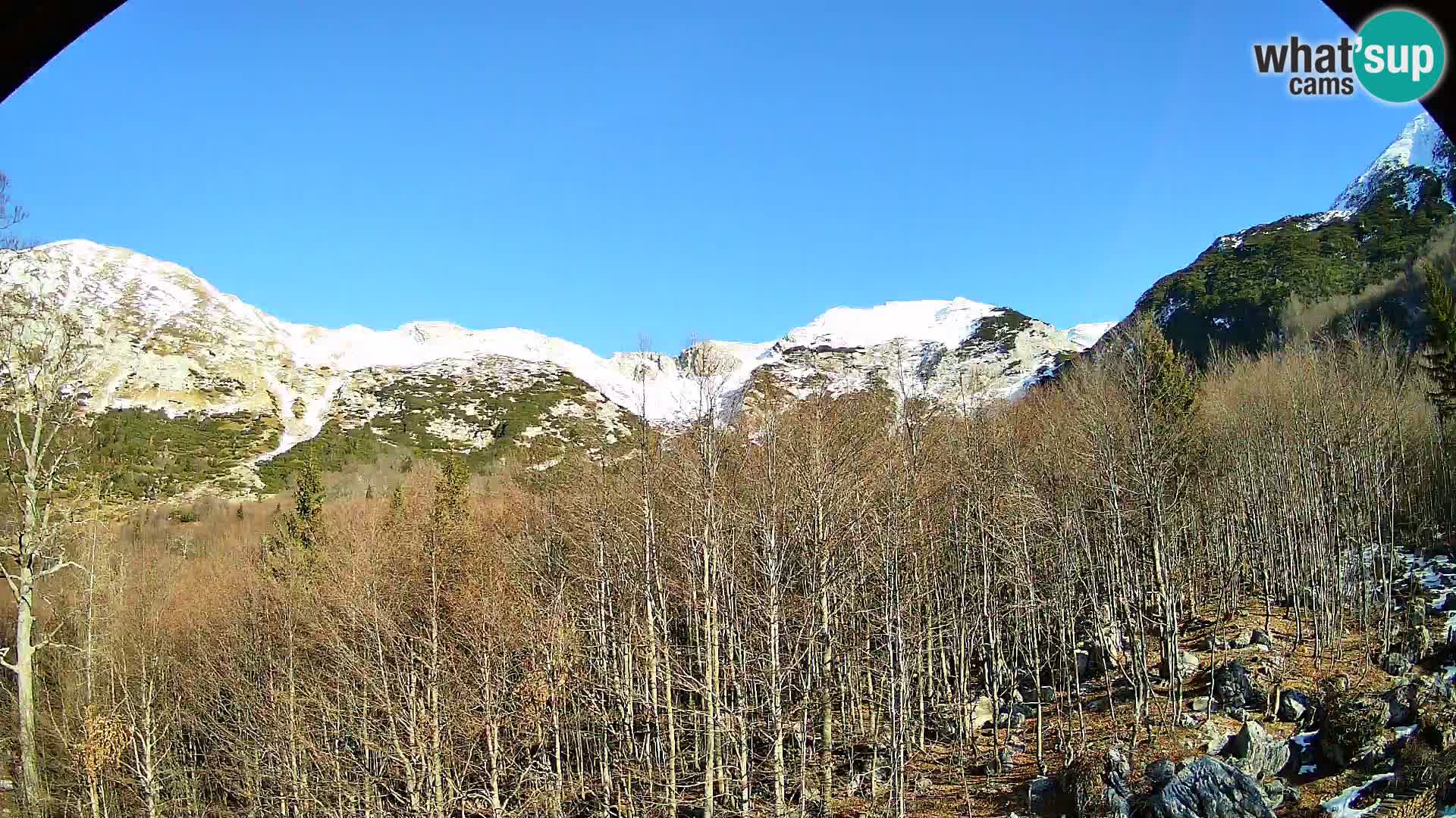 PLANINA RAZOR Live Cam (1315) | vista su Vogel e Globoko
