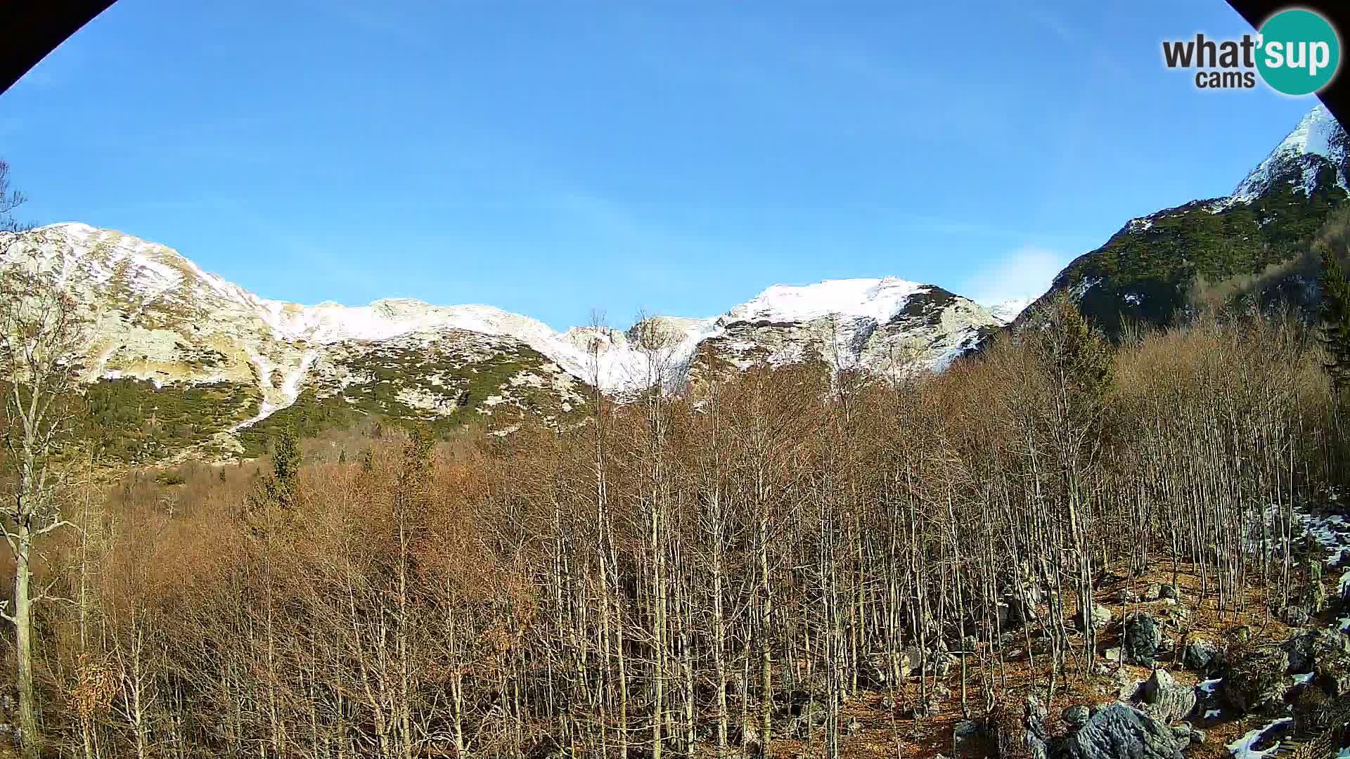 Livecam PLANINA RAZOR (1315) | vue sur Vogel et Globoko