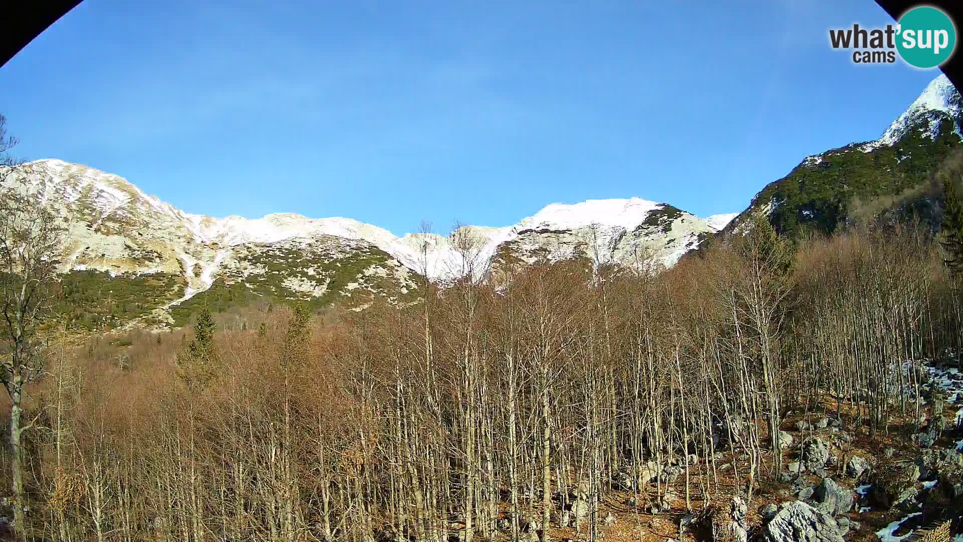 Livecam PLANINA RAZOR (1315) | vue sur Vogel et Globoko